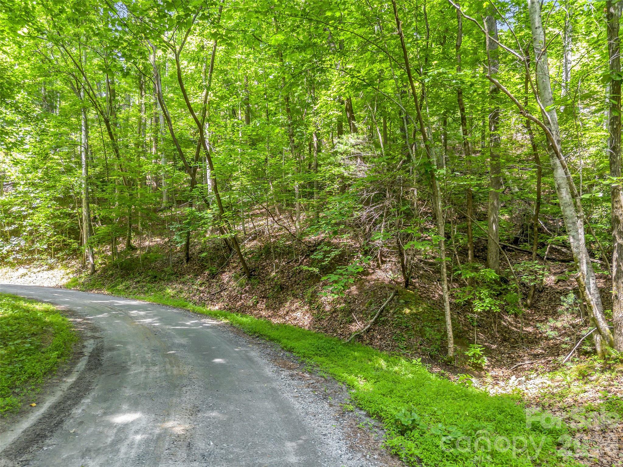 Riverbend at Lake Lure - Land