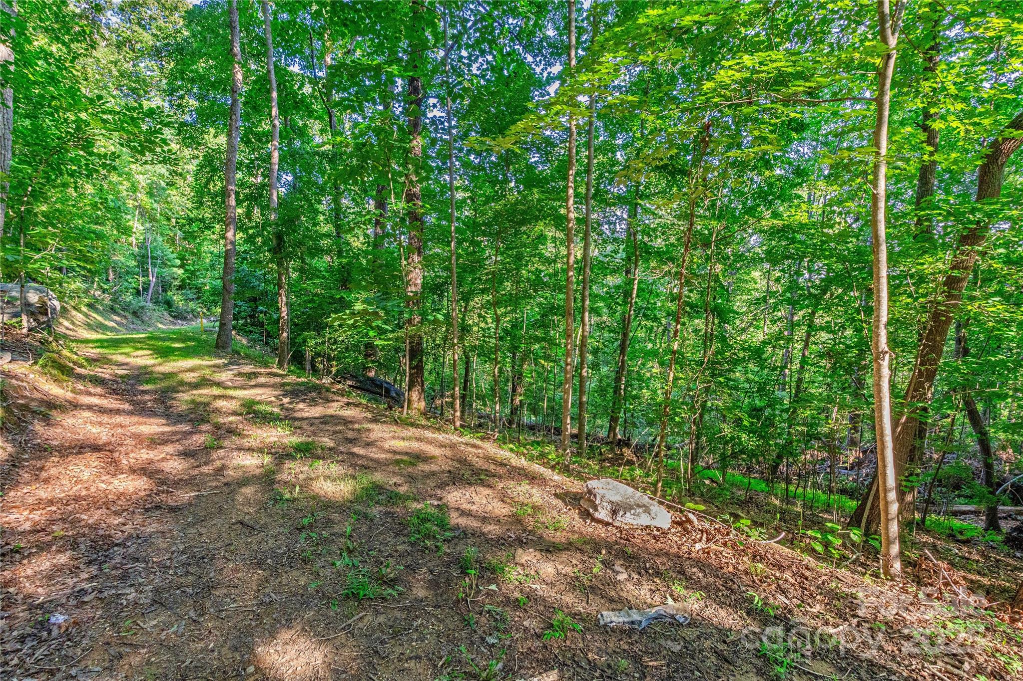Discover the perfect mountain opportunity at The Boulders, where conservation meets luxury living. This exceptional 1.78-acre homesite positioned at the end of Curtain Bluff offers maximum seclusion. The property gently slopes to an ideal building site, where you'll be surrounded by towering trees, dramatic boulder formations that give the community its name. Experience the magic of long-range mountain views that emerge through the trees during winter months. With utilities already in place, your vision can become reality without delay. House plans are available or collaborate with your preferred builder to create a completely custom home. Just ten easy driving minutes to groceries, restaurants, and medical. This exceptional homesite awaits a steward who appreciates the rare combination of natural beauty, privacy, and community. Schedule your private tour today!