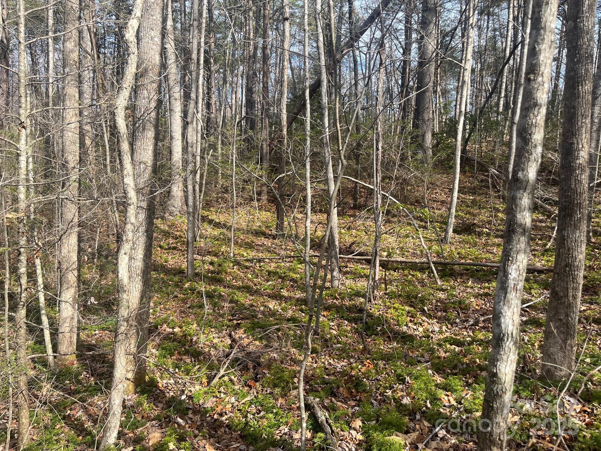 2 Acre Lot in Serene Location! Situated at the end of a private road, this lot offers multiple building sites for your future house. With no restrictions other than local zoning, the options are endless. Will make a great lot for either permanent or secondary house. Schedule your showing today!