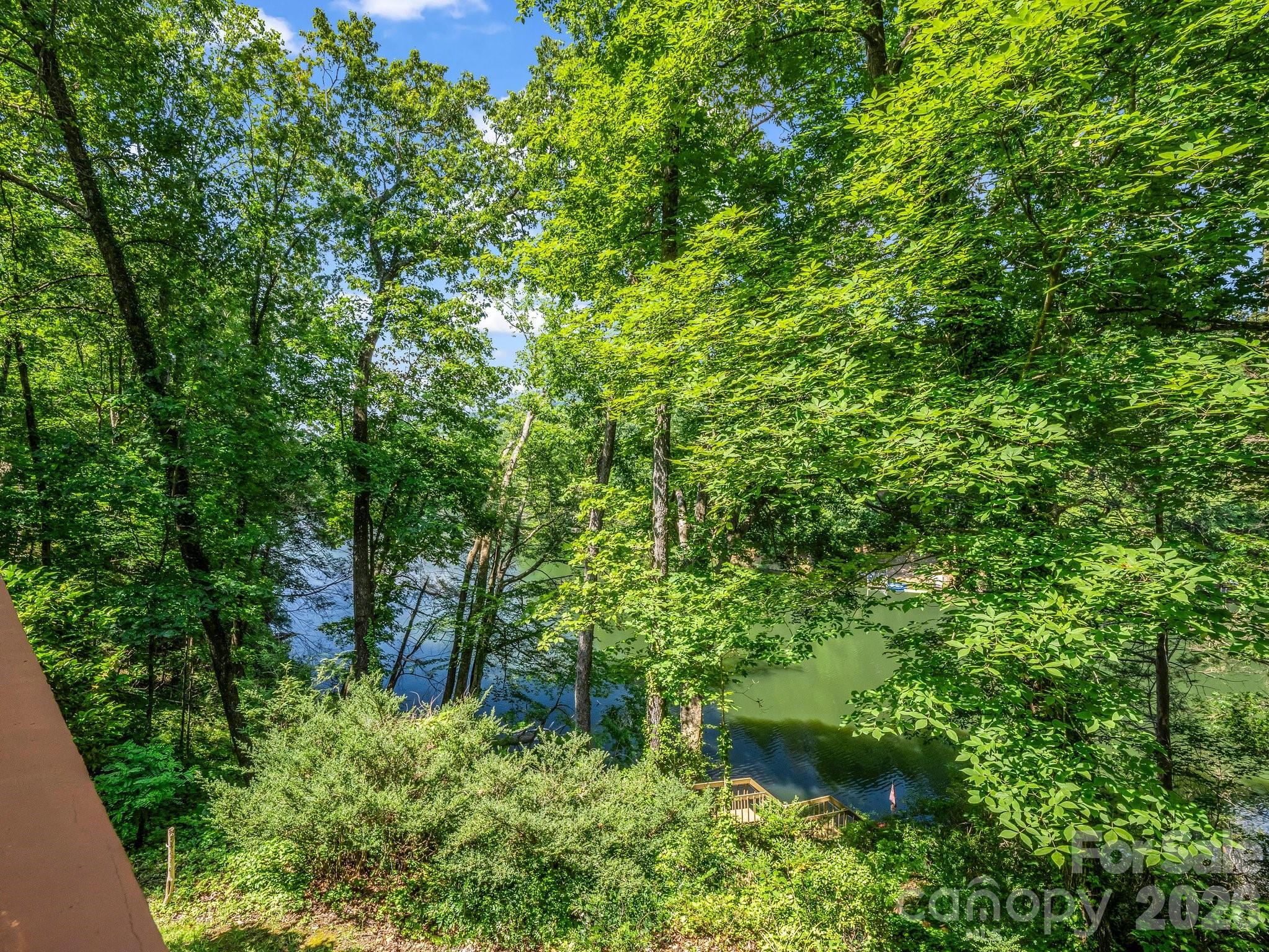 Rumbling Bald on Lake Lure - Residential