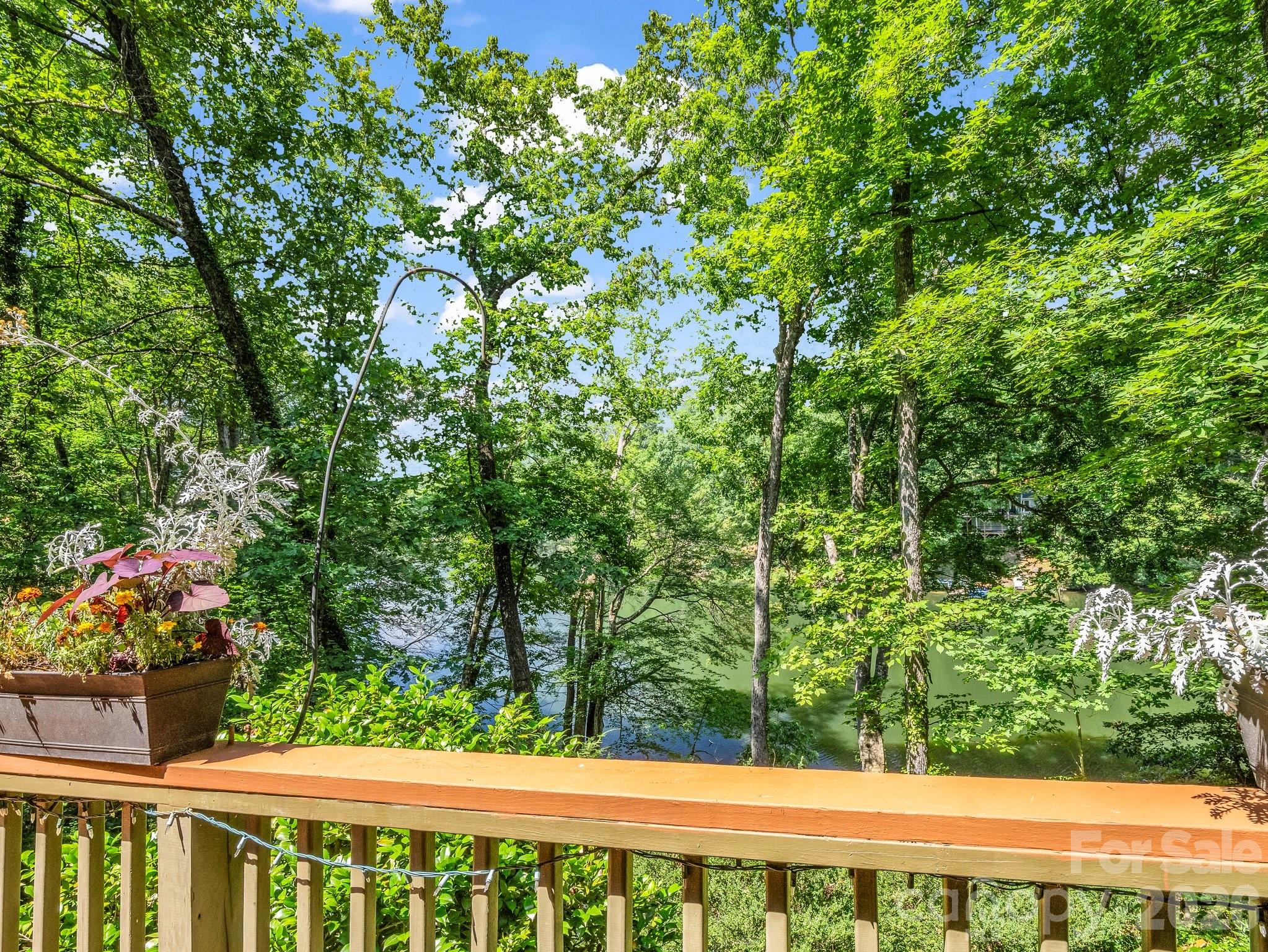 Rumbling Bald on Lake Lure - Residential