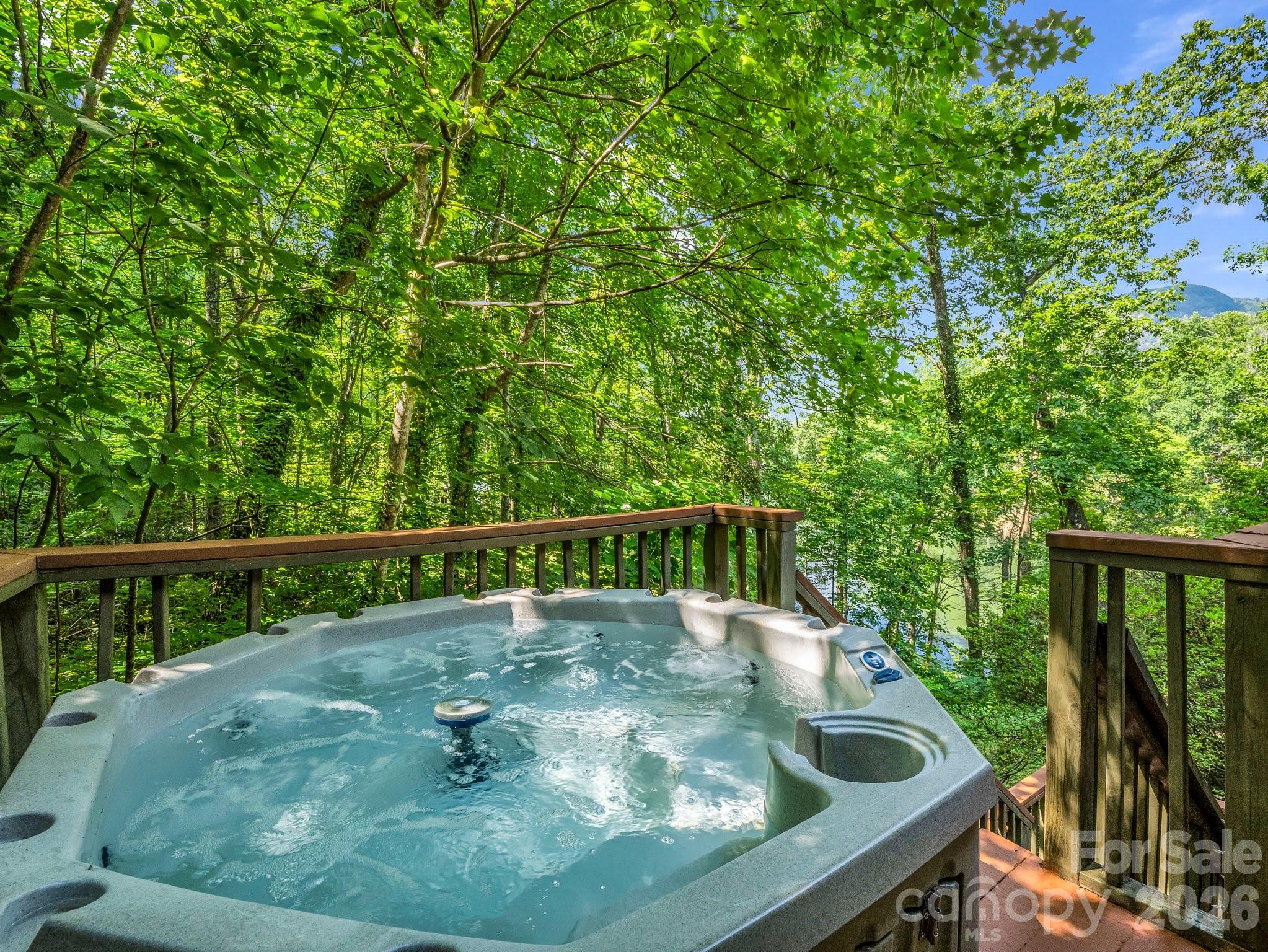 Rumbling Bald on Lake Lure - Residential