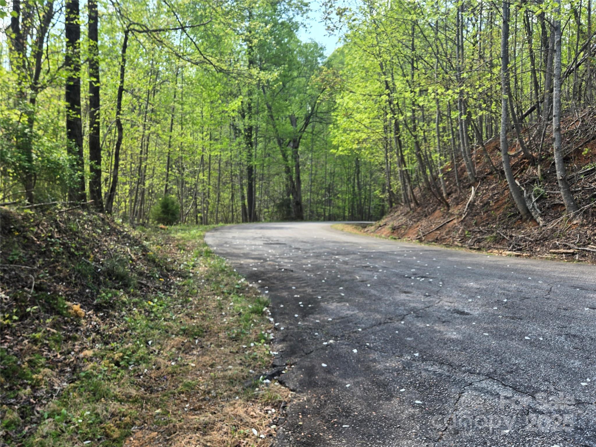 Rumbling Bald on Lake Lure - Land