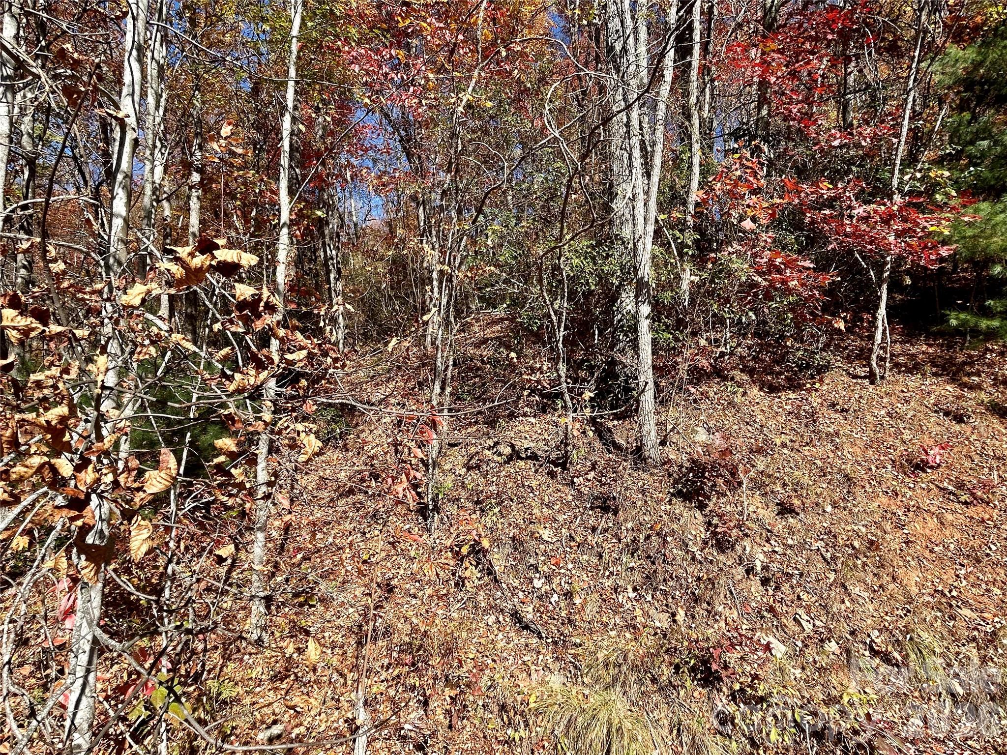 Brush Creek Properties - Land