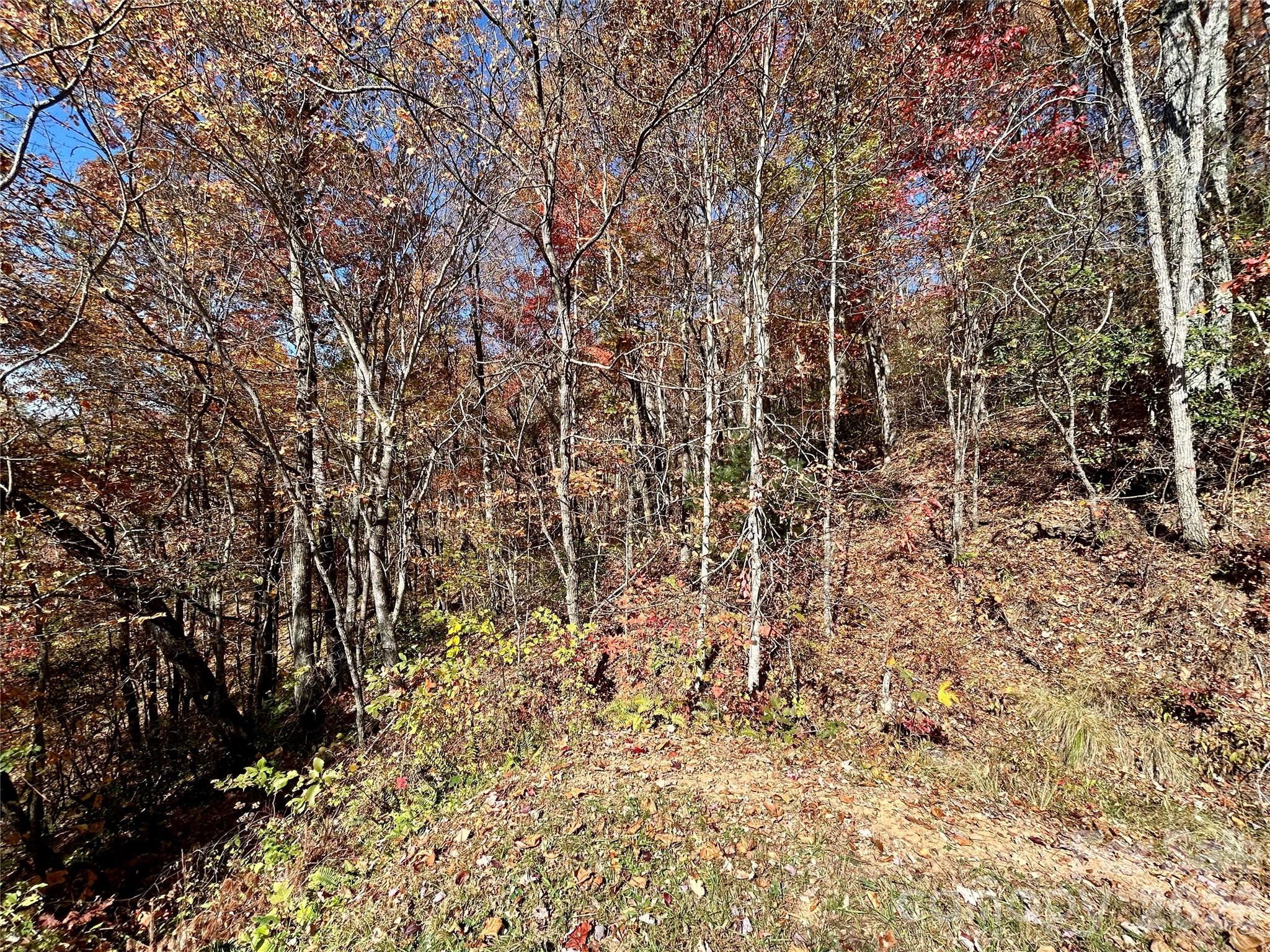 Brush Creek Properties - Land