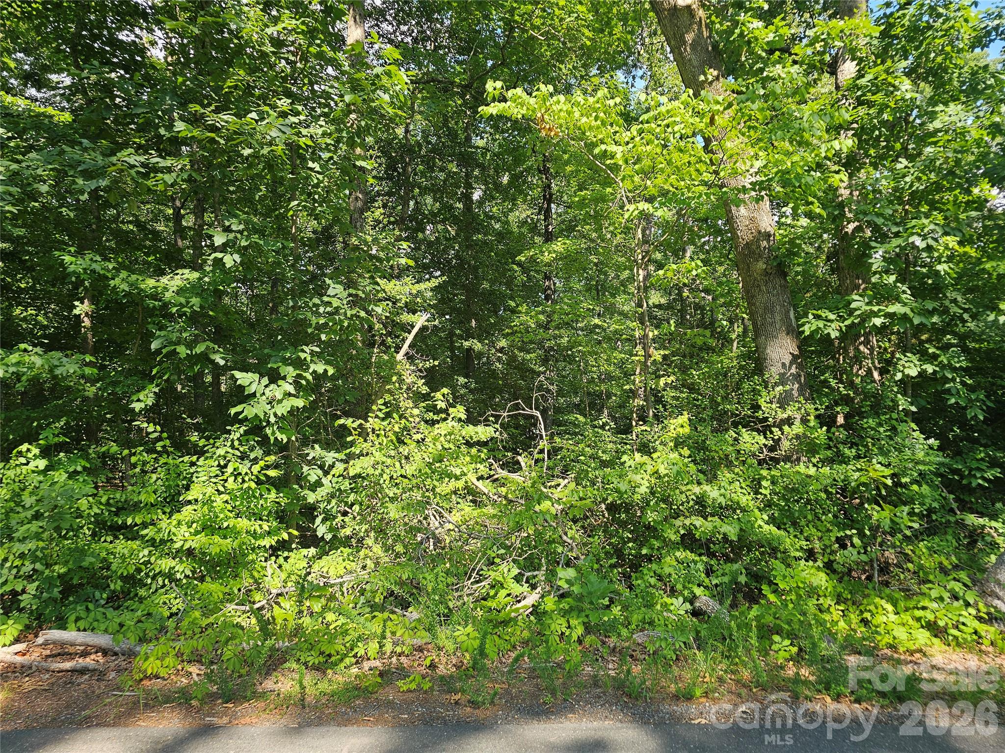 Beautiful wooded interior lot located in a LAKEFRONT COMMUNITY on HIGH ROCK LAKE!! "Summer Place" offers a quiet, laid-back lifestyle complete with lake access, waterside common areas, a community pier, and a community boat ramp. This subdivision is situated not far from all the amenities you're looking for-- Tamarac Marina, Lakeview Family Restaurant, Waters Edge Dock & Grill, Hill's Minnow Farm, Dan Nicholas Park, and Eagle Point Nature Preserve. Welcome to the LAKE LIFE!