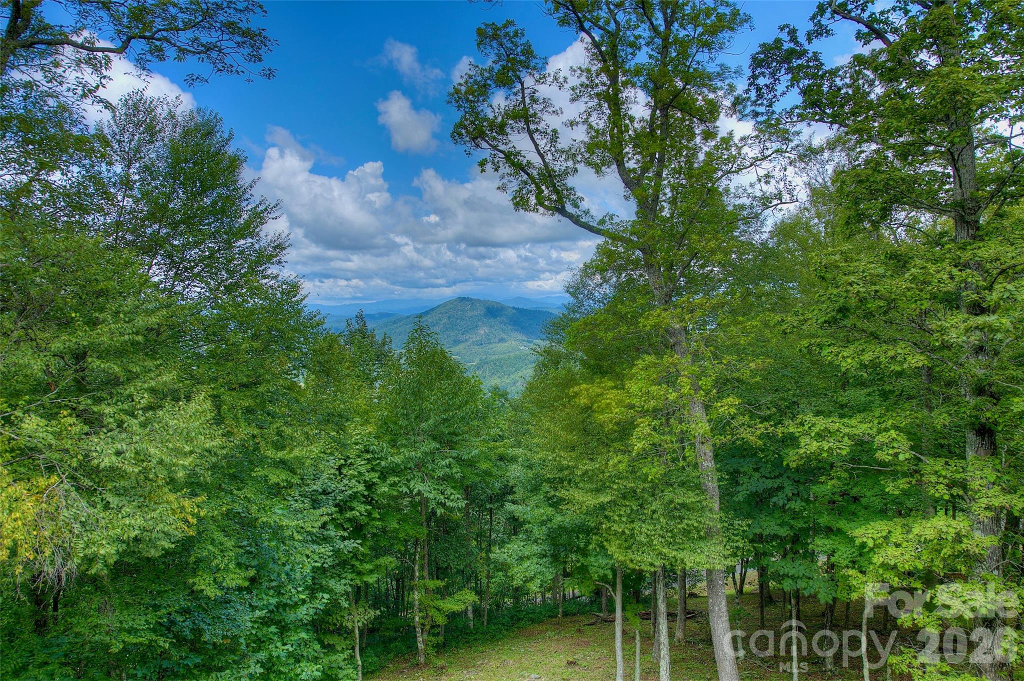 Poplar Ridge - Residential