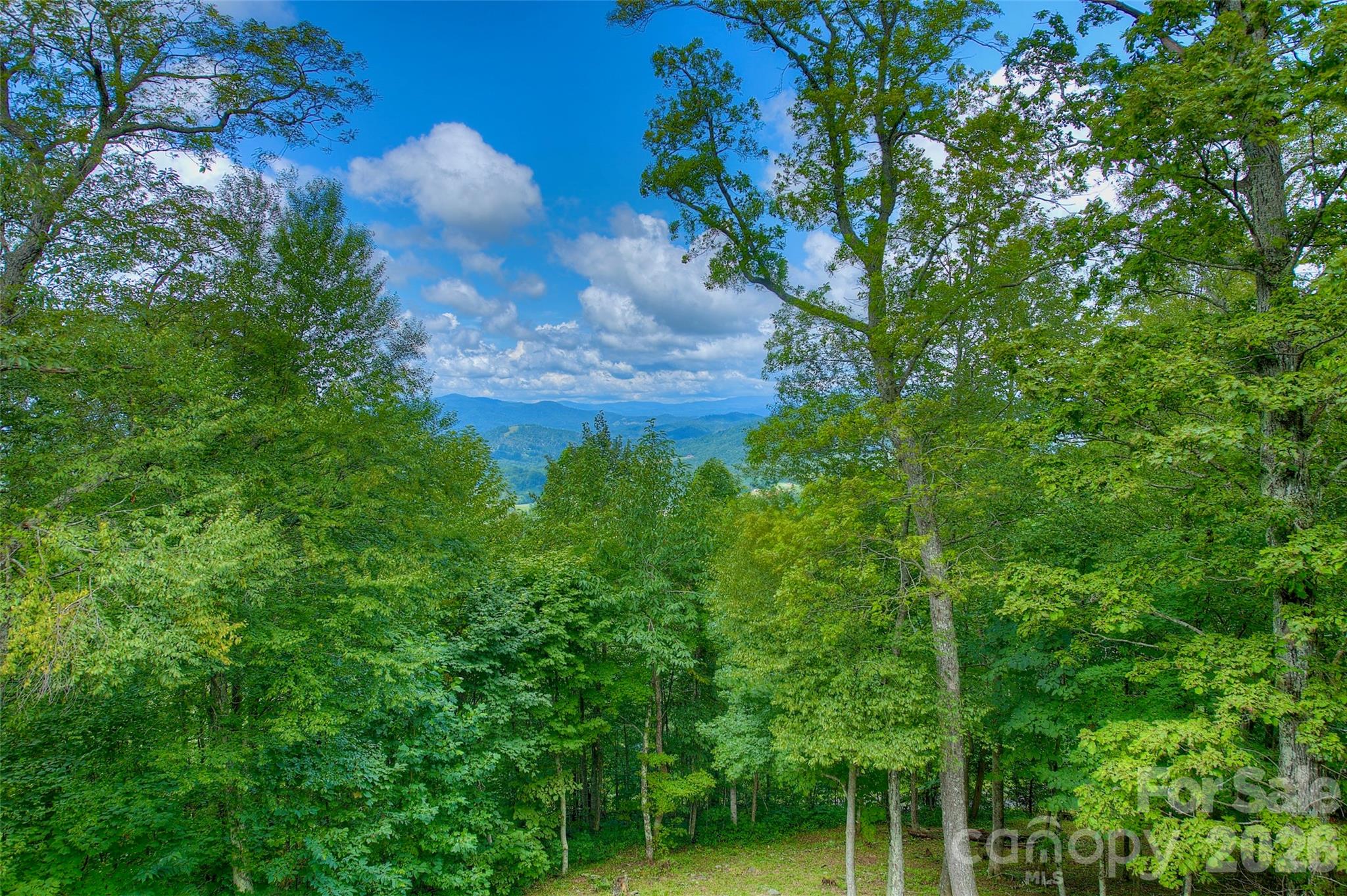 Poplar Ridge - Residential