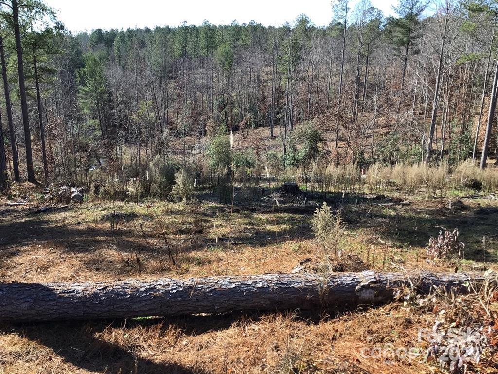 Build your dream home in the heart of nature! Welcome to Lot 36 on Snowmass Drive in beautiful Connelly Springs, NC! This spacious homesite offers generous road frontage and a unique layout that gently slopes to a level area—perfect for your future home—before descending to a year-round creek at the back of the property. Located in a gated community that borders Lake Rhodhiss, you'll enjoy top-notch amenities including a swimming pool and pickleball courts. Whether you're planning a permanent residence or a serene second home, this location delivers peace, privacy, and stunning views. Picture yourself sipping coffee on a covered porch, watching the sunrise, or gathering with loved ones while soaking in the colors of each season. With year-round views and nature just outside your window, Lot 36 offers the lifestyle you’ve been dreaming of. Water provided by Icard Township Water Corp (community system). Septic required.