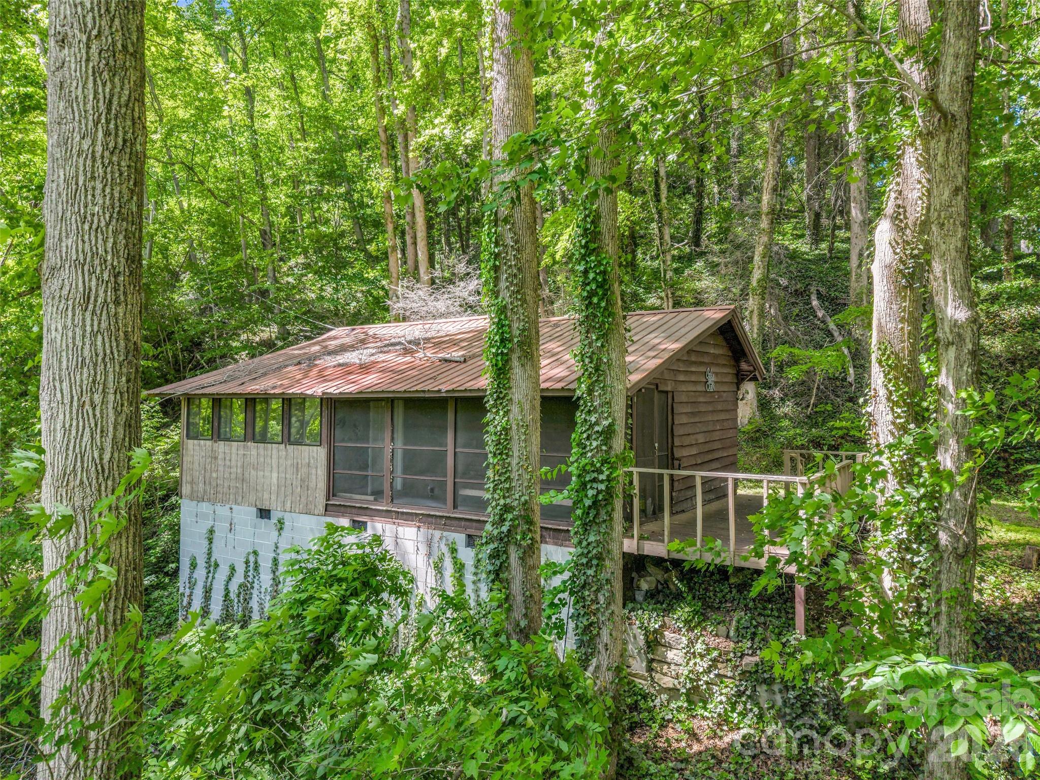 Rustic cabin with UNLIMITED potential overlooking the mountains, Hwy 74 and the Hickory Creek. Home has been vacant for a few years and needs a new owner. Would be great for week end retreat, first home or a great rental. Only 10 minutes to Chimney Rock, Lake Lure area. 35 minutes to Asheville or Hendersonville. Home has no AC This property has septic and electricity but it needs a well. Water was previously supplied by neighbors well.