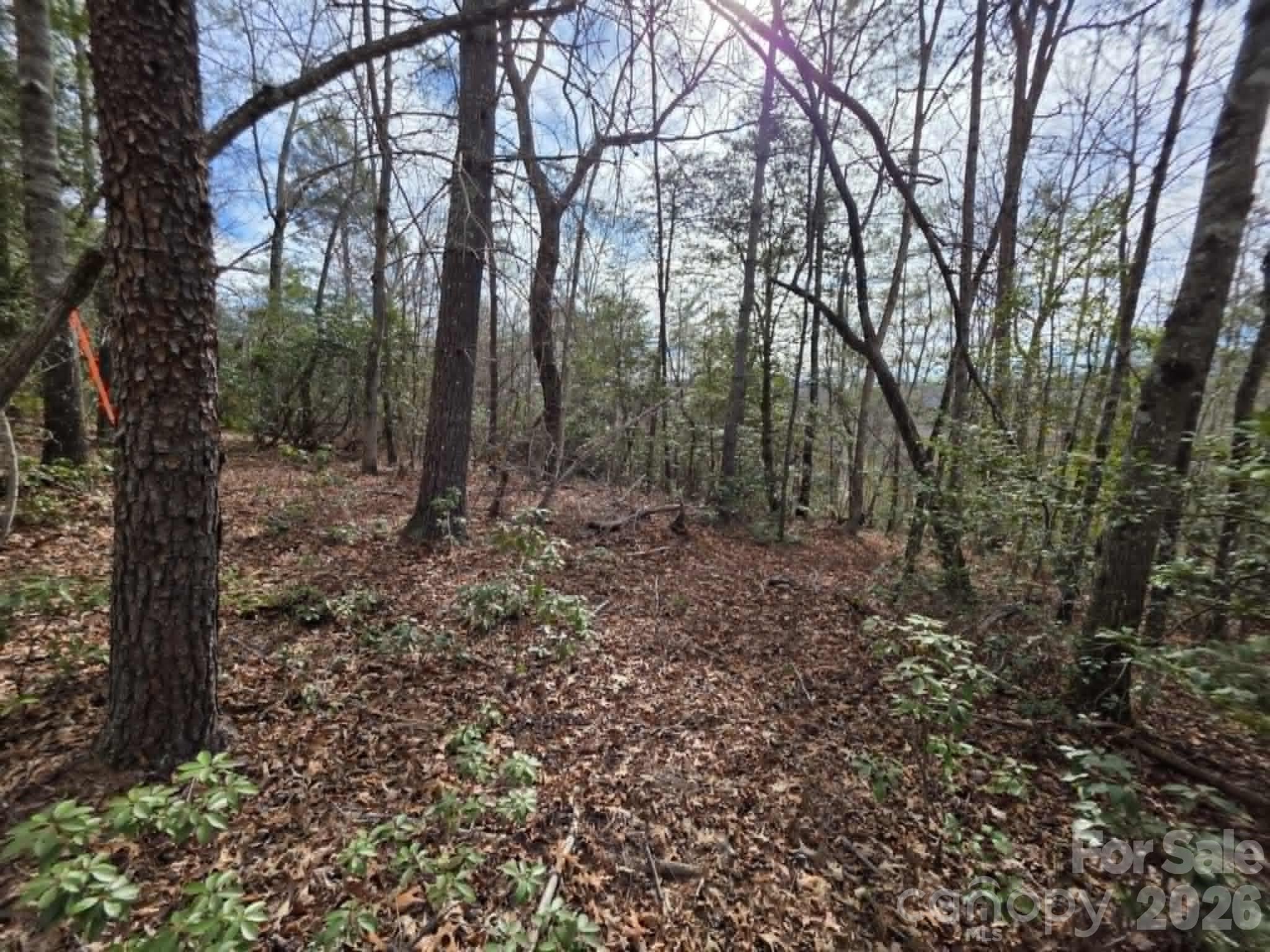 Little Toe River Subdivision - Land