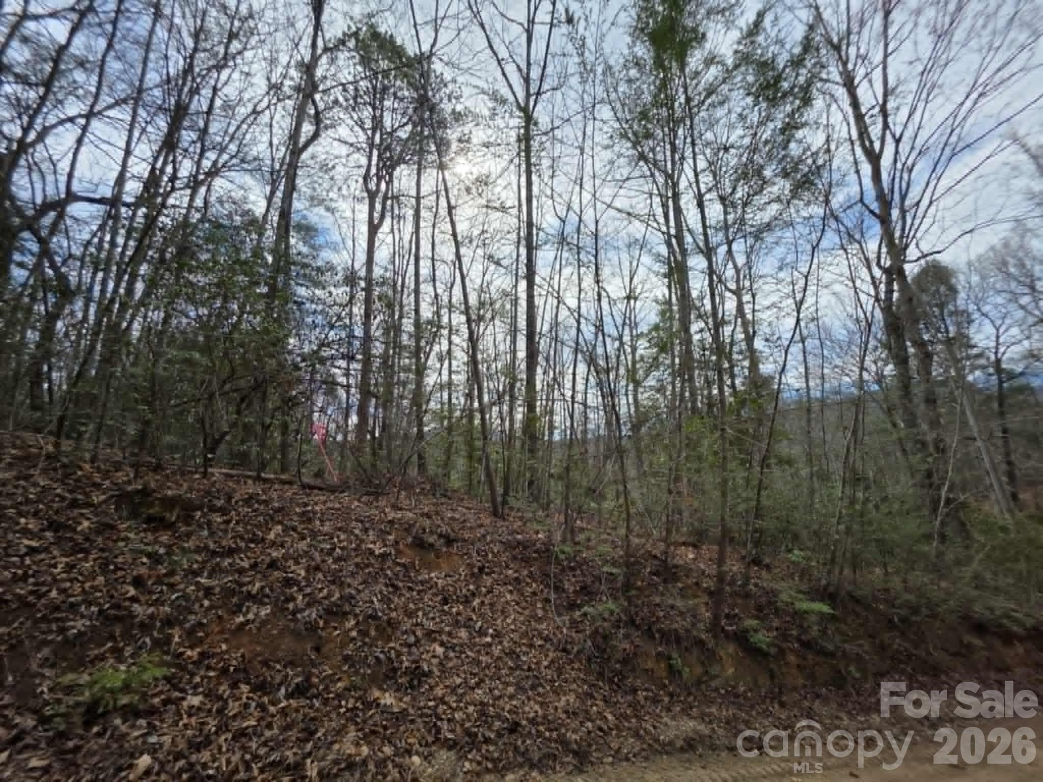 Little Toe River Subdivision - Land
