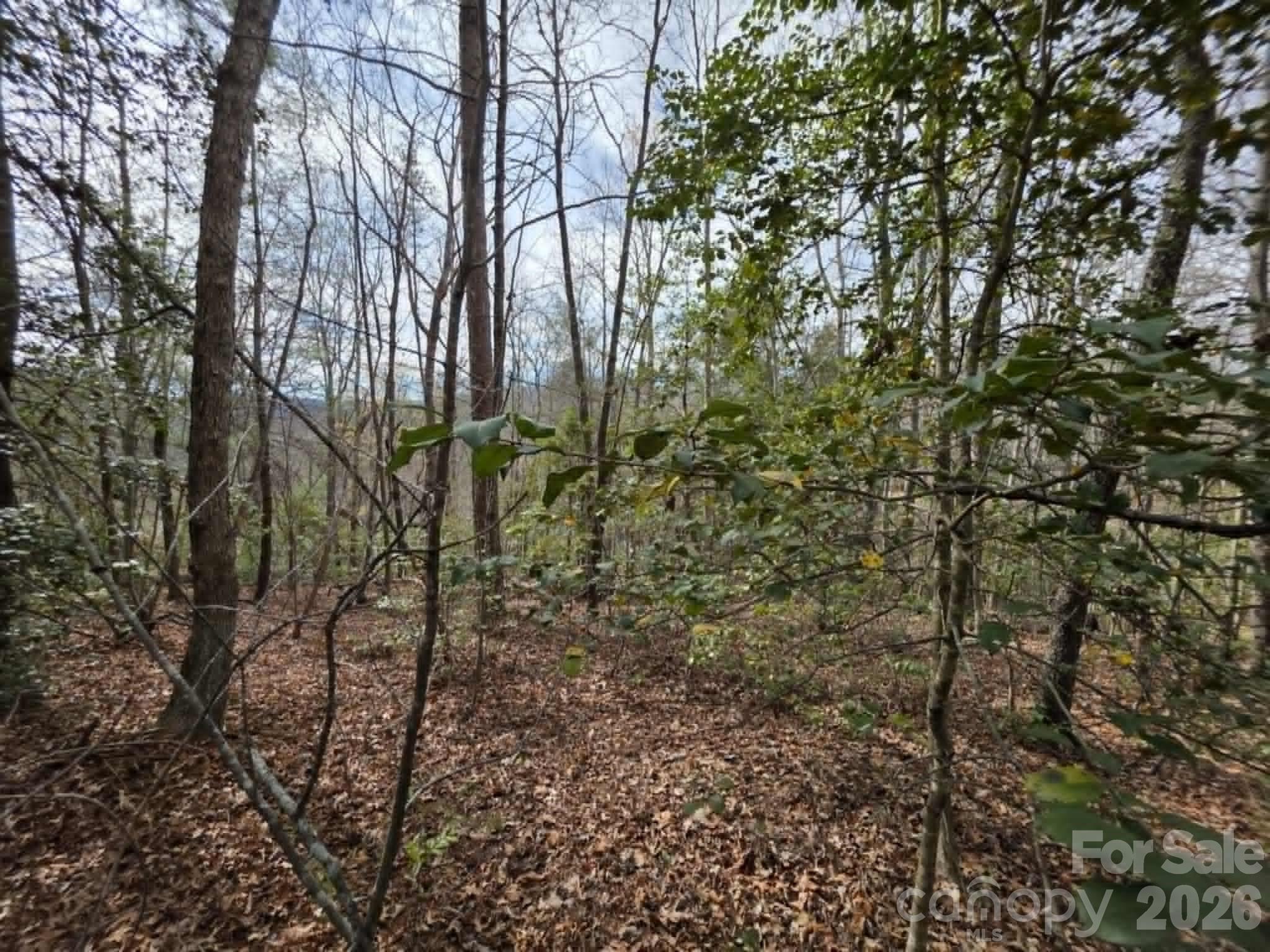 Little Toe River Subdivision - Land