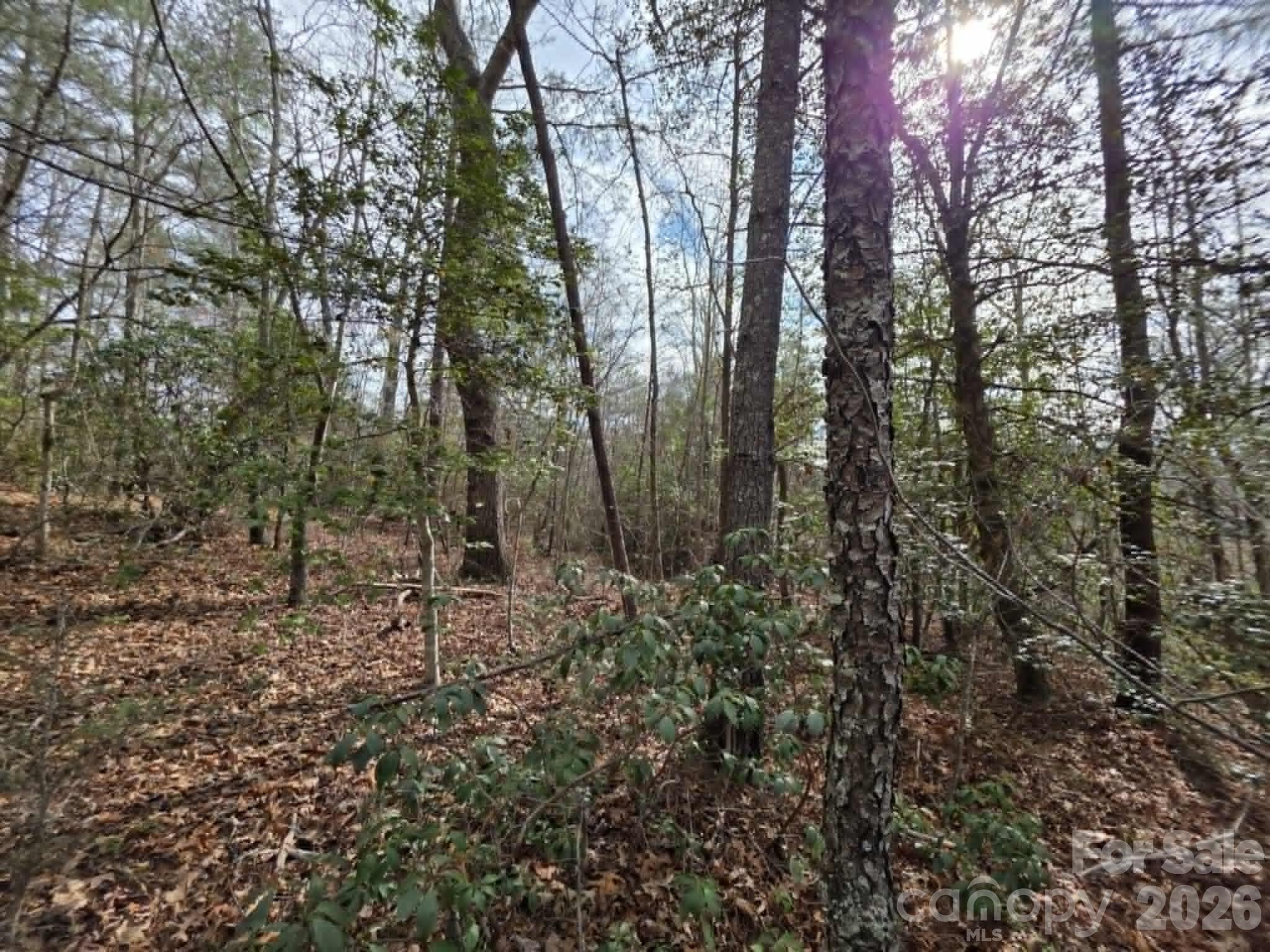 Little Toe River Subdivision - Land