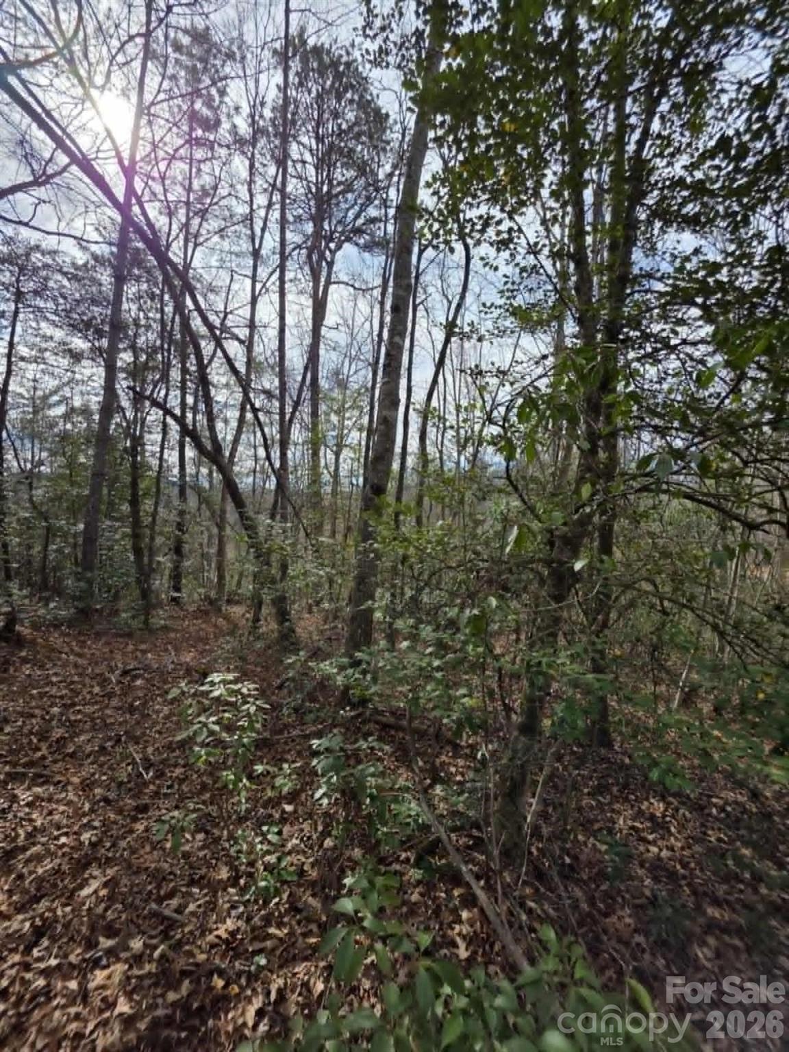 Little Toe River Subdivision - Land