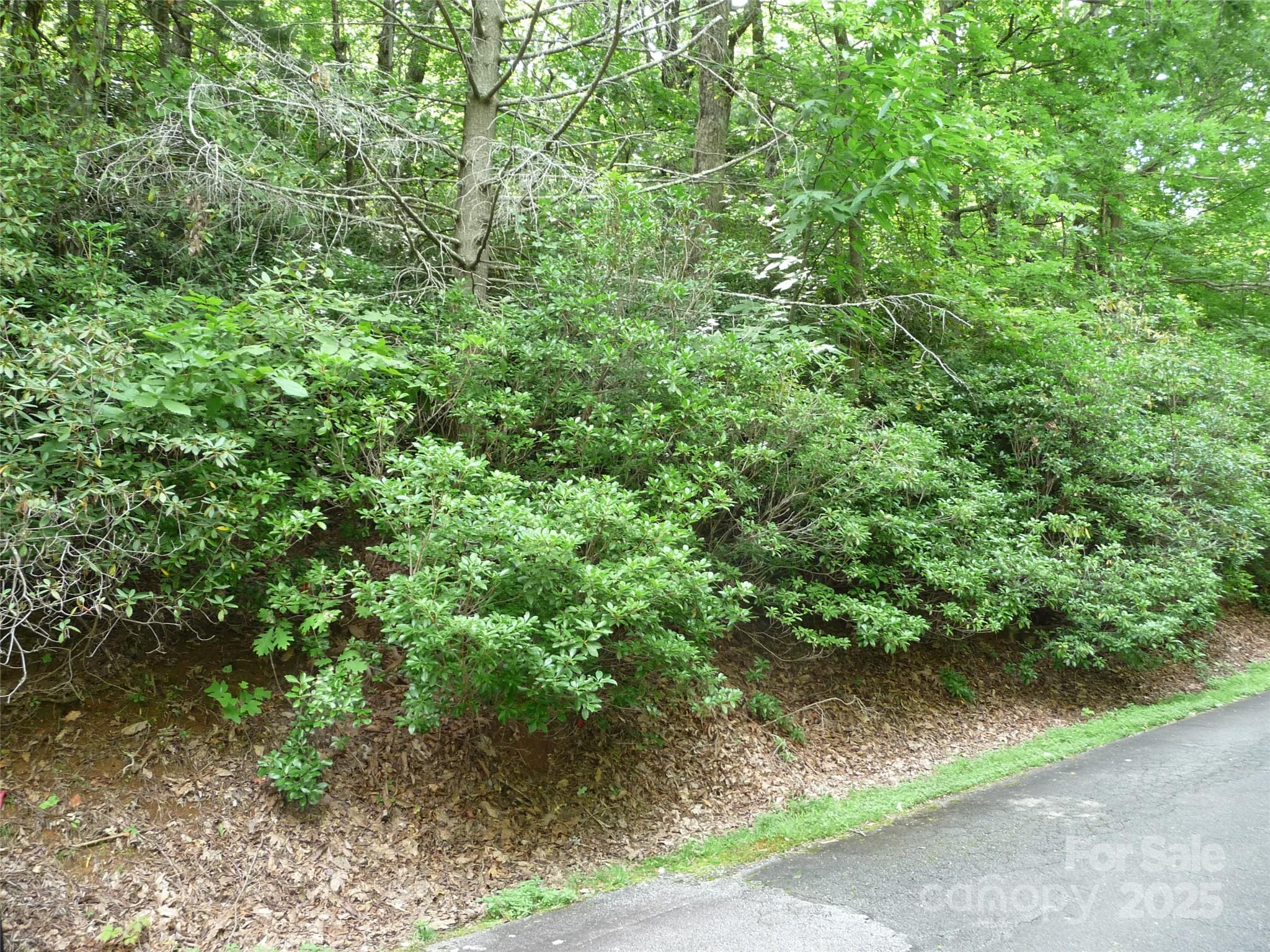 White Oak Mountain - Land