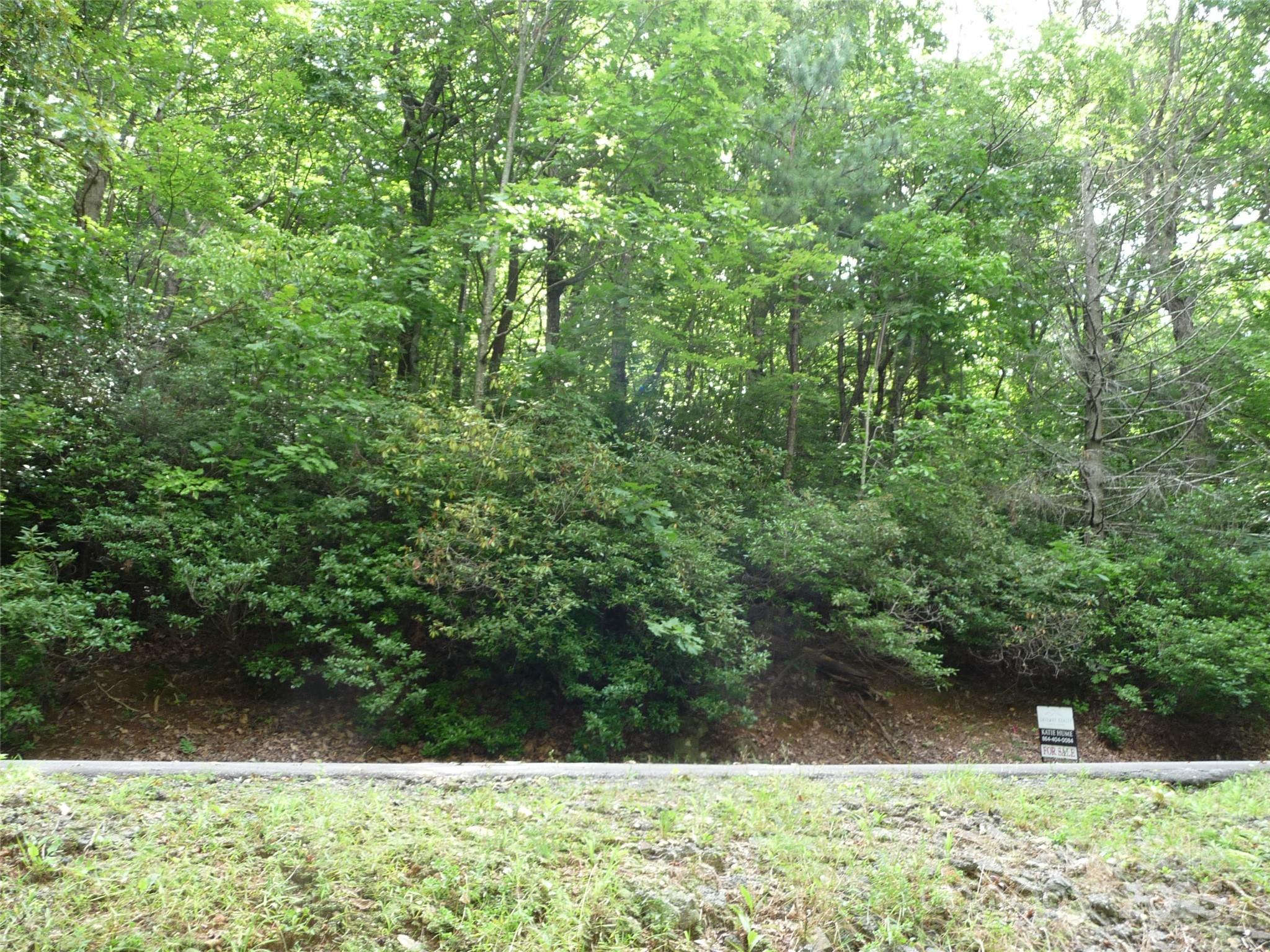 White Oak Mountain - Land