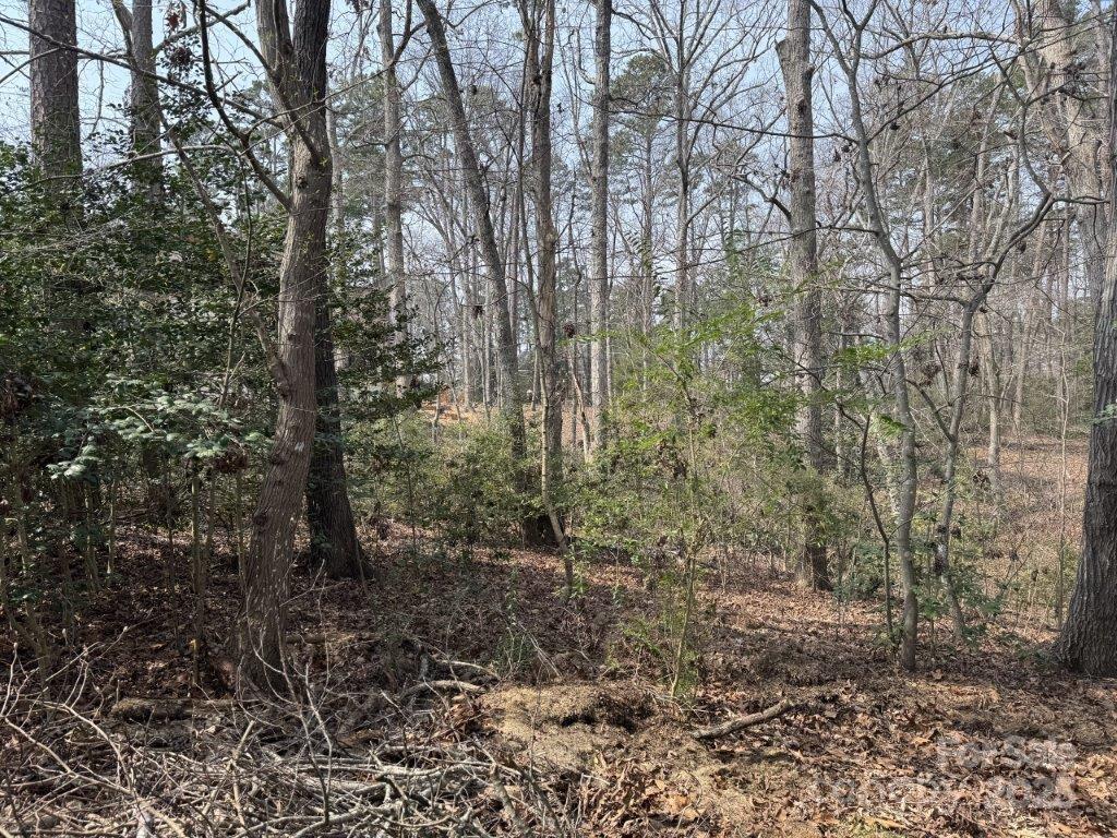 Uwharrie Point - Land
