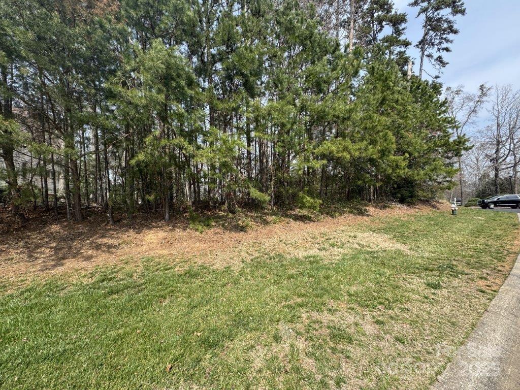 Uwharrie Point - Land