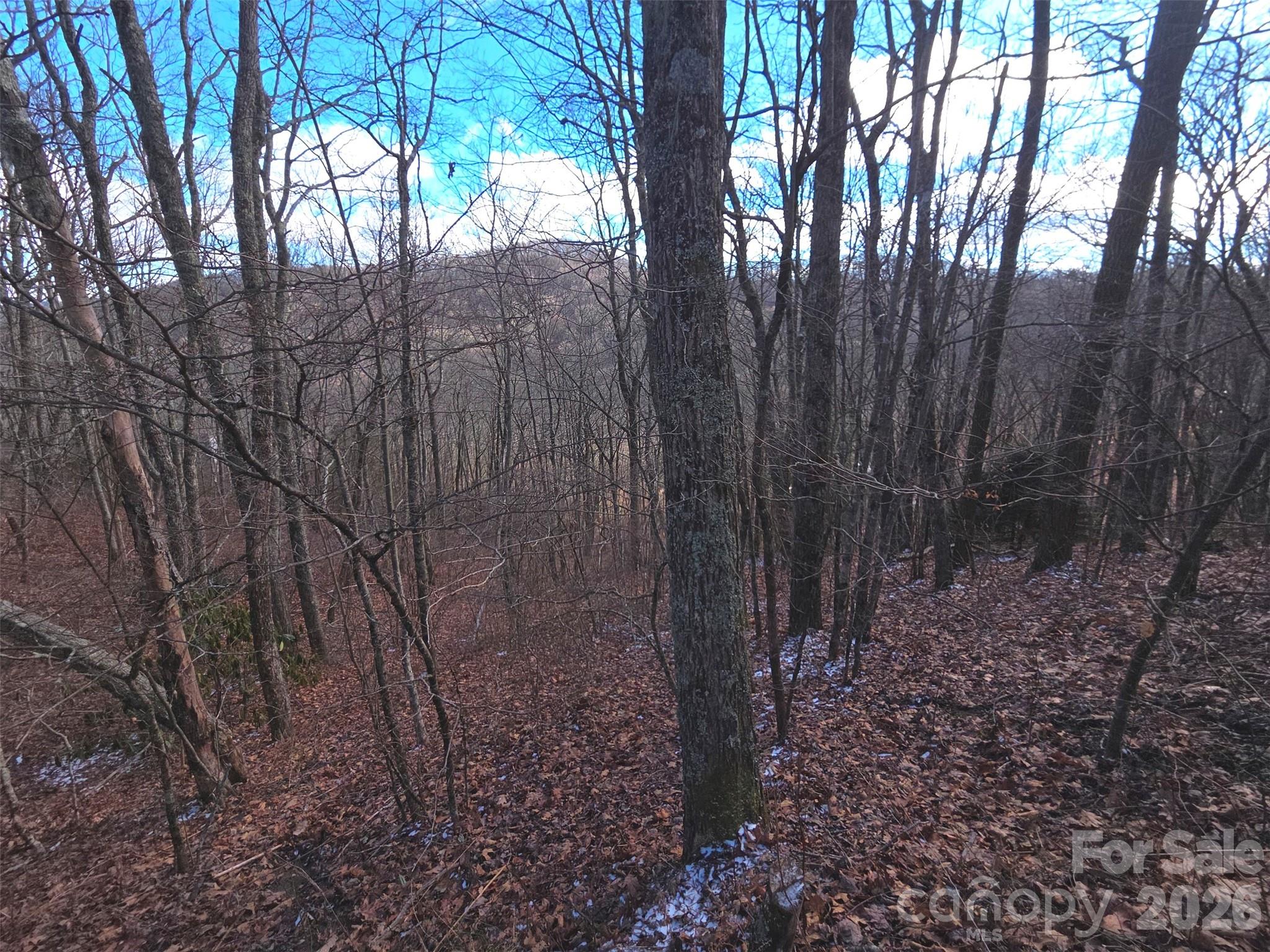 Smoky Falls - Land