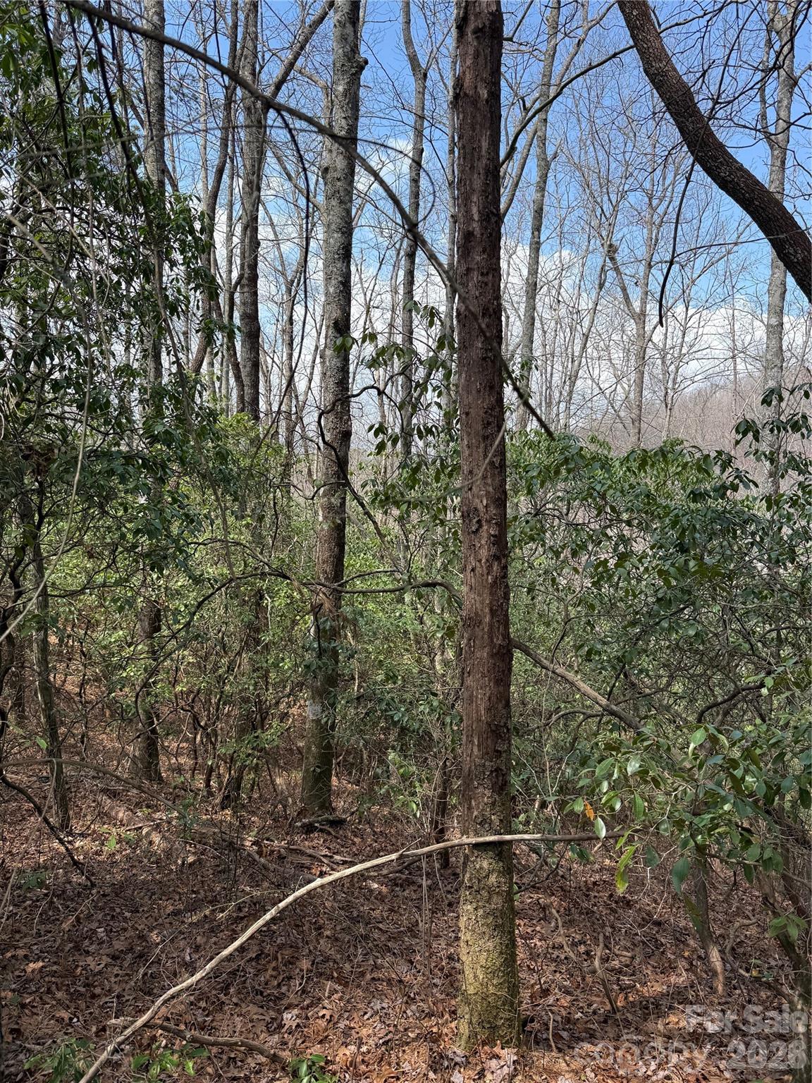 Line Runner Ridge - Land