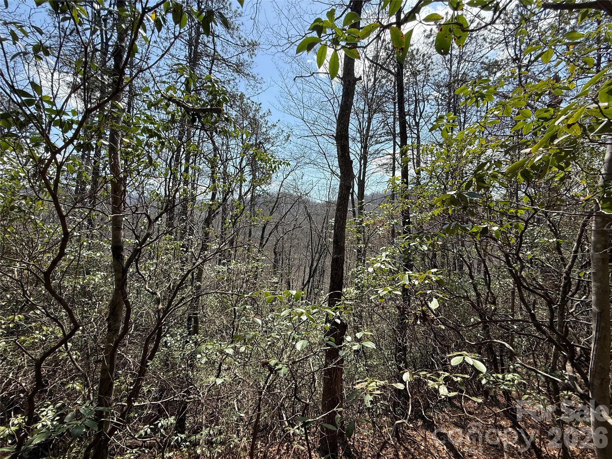 Discover a spacious lot with the potential for mountain views in the desirable Line Runner Ridge community. This property offers a peaceful, natural setting while still being conveniently located just 10 minutes from Rosman.
Outdoor lovers will appreciate the close proximity to the local rivers and trails — Whether you're looking to build a private mountain retreat, a vacation getaway, or an investment property, this lot blends seclusion with excellent access to outdoor recreation.