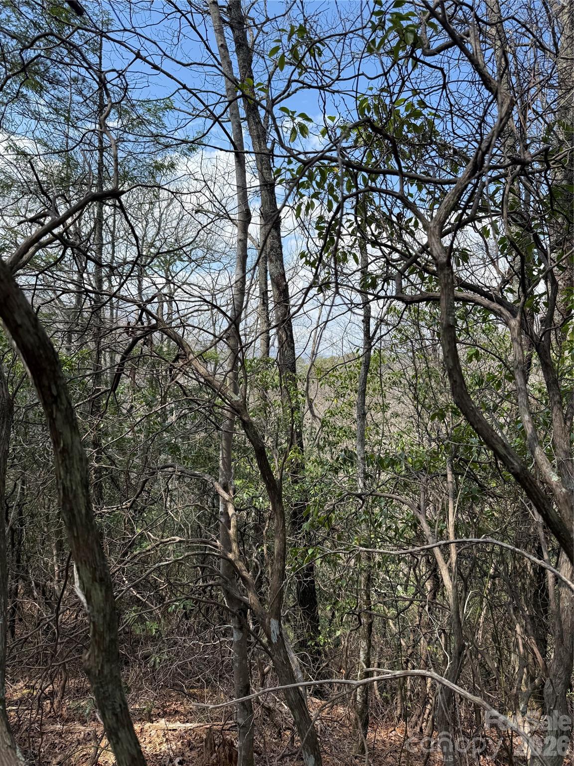 Line Runner Ridge - Land