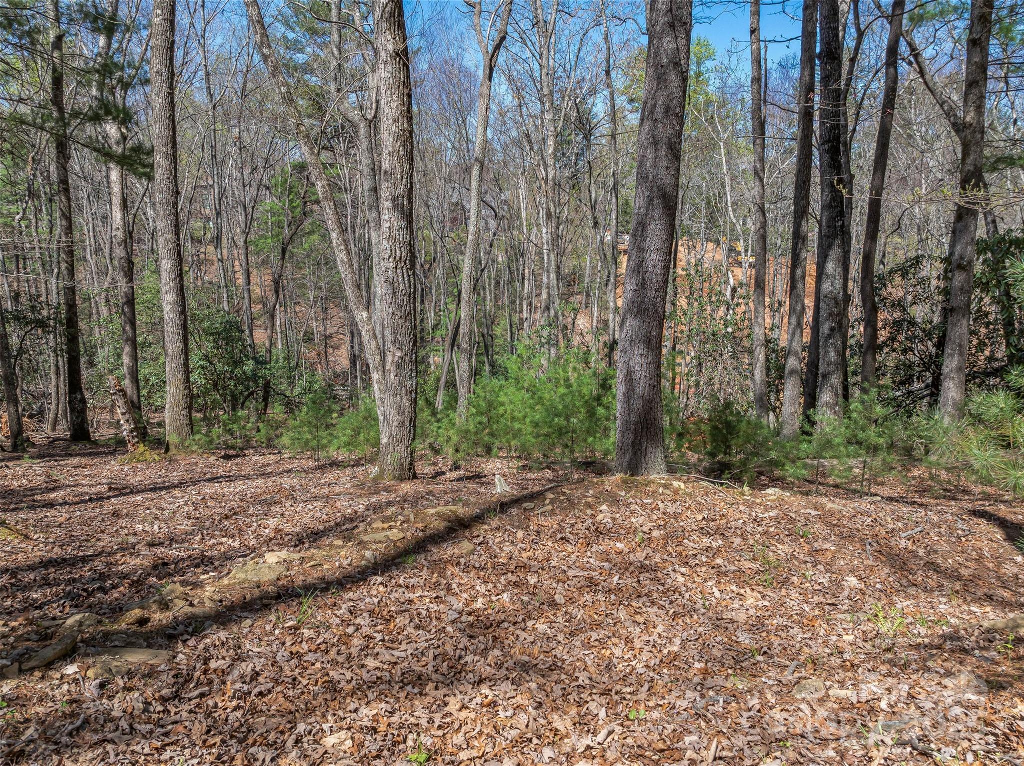 The Cliffs At Walnut Cove - Land