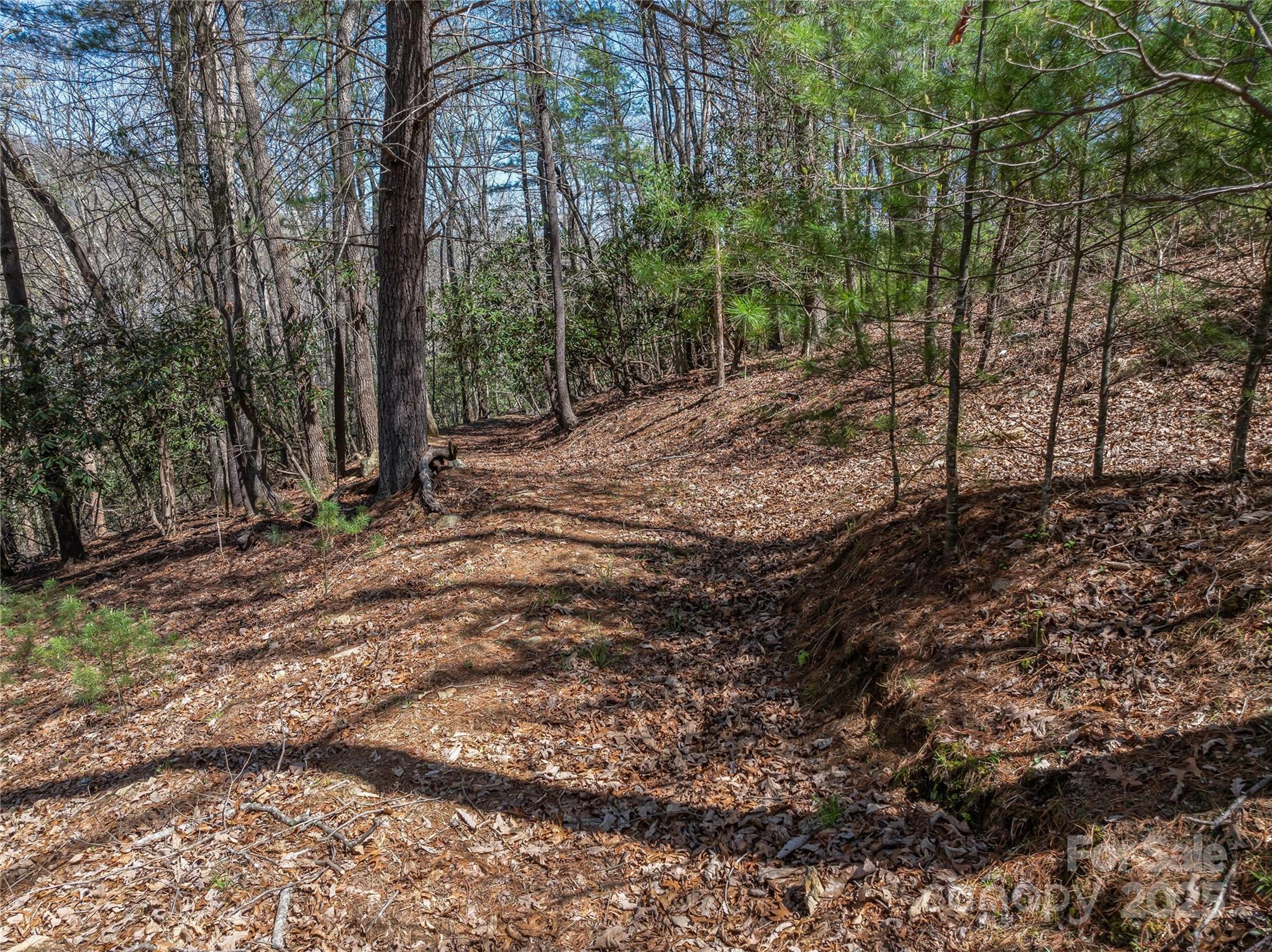 The Cliffs At Walnut Cove - Land
