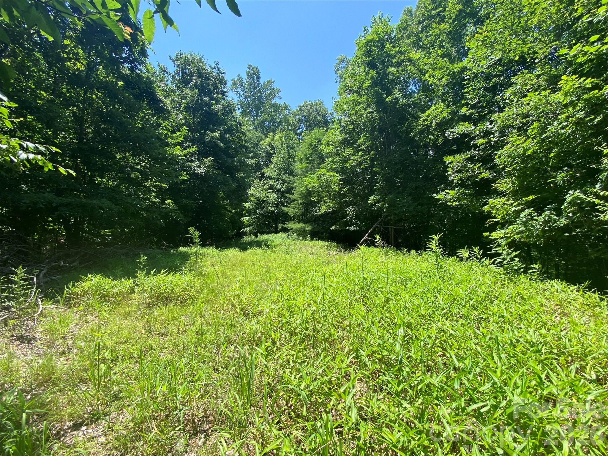 Build your dream mountain retreat on this beautiful combined 1.38-acre parcel (Lots 1 & 2) in the desirable Scenic View Estates community of Green Mountain, NC. Featuring gentle terrain, added privacy, and stunning mountain views, this property offers the perfect setting to bring your vision to life.
A cleared, level building area is already in place, making it easy to start your plans right away. The property also includes shared rights to a natural spring, adding both charm and practicality.
Conveniently located just minutes from Burnsville, Spruce Pine, and Bakersville, you’ll enjoy easy access to local shops, dining, and everyday essentials while still feeling tucked away in a peaceful mountain setting.
Outdoor enthusiasts will love being close to the North Toe River, with nearby opportunities for fishing, hiking, and exploring the natural beauty of the area.
Ideal for a full-time residence, vacation getaway, or investment property, this land offers the perfect balance of tranquility, scenery, and convenience.