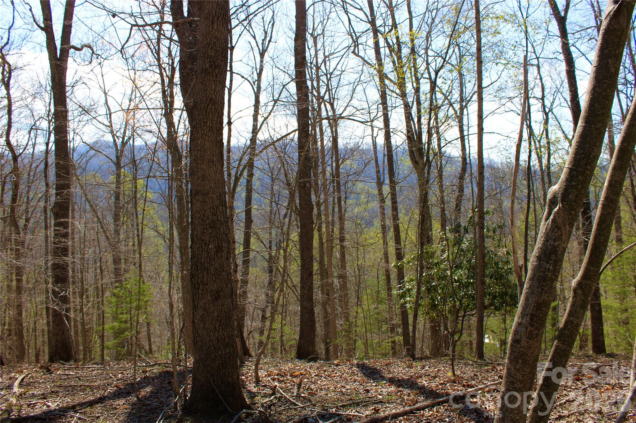 Scenic View - Land
