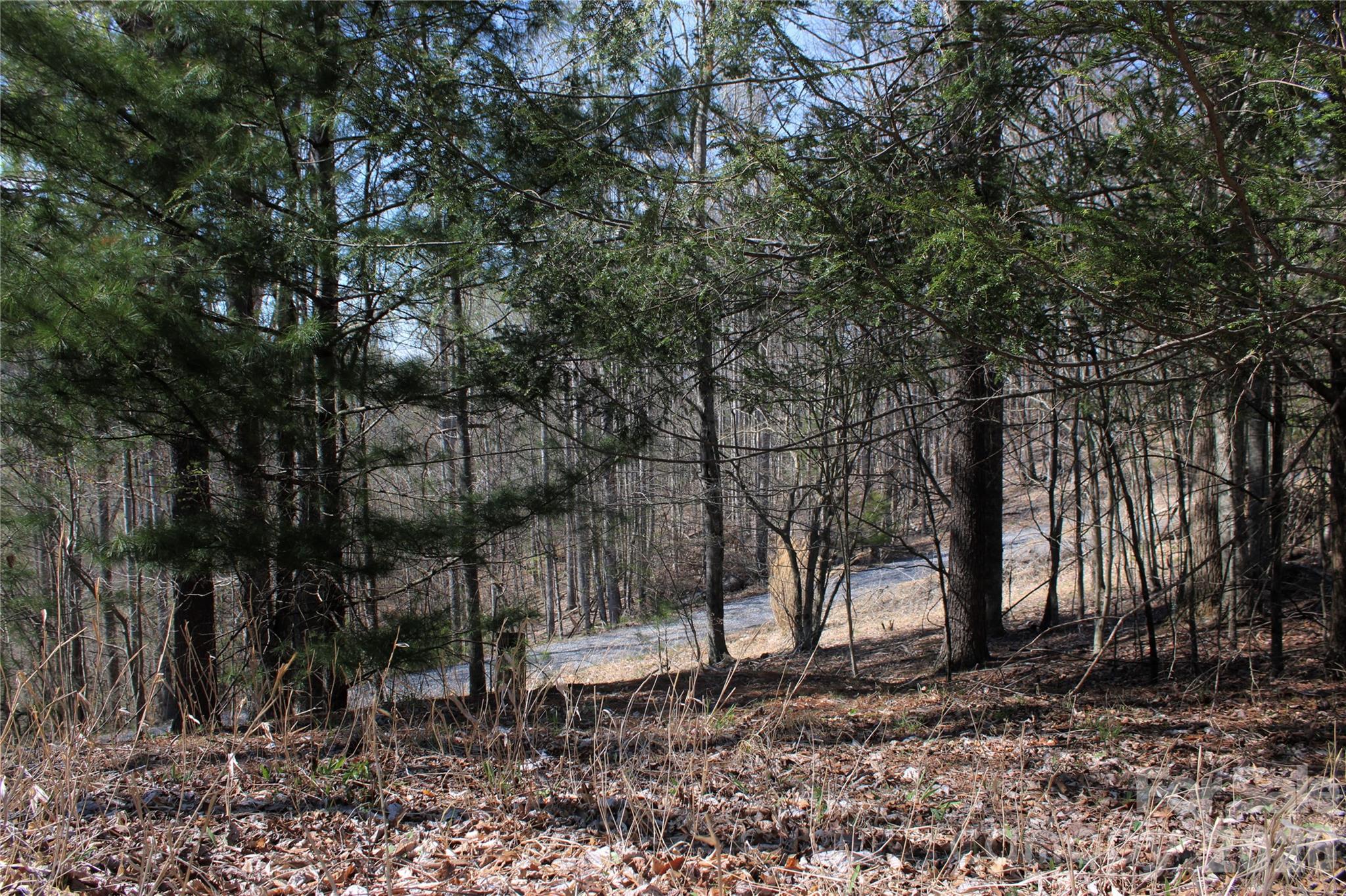 Scenic View - Land