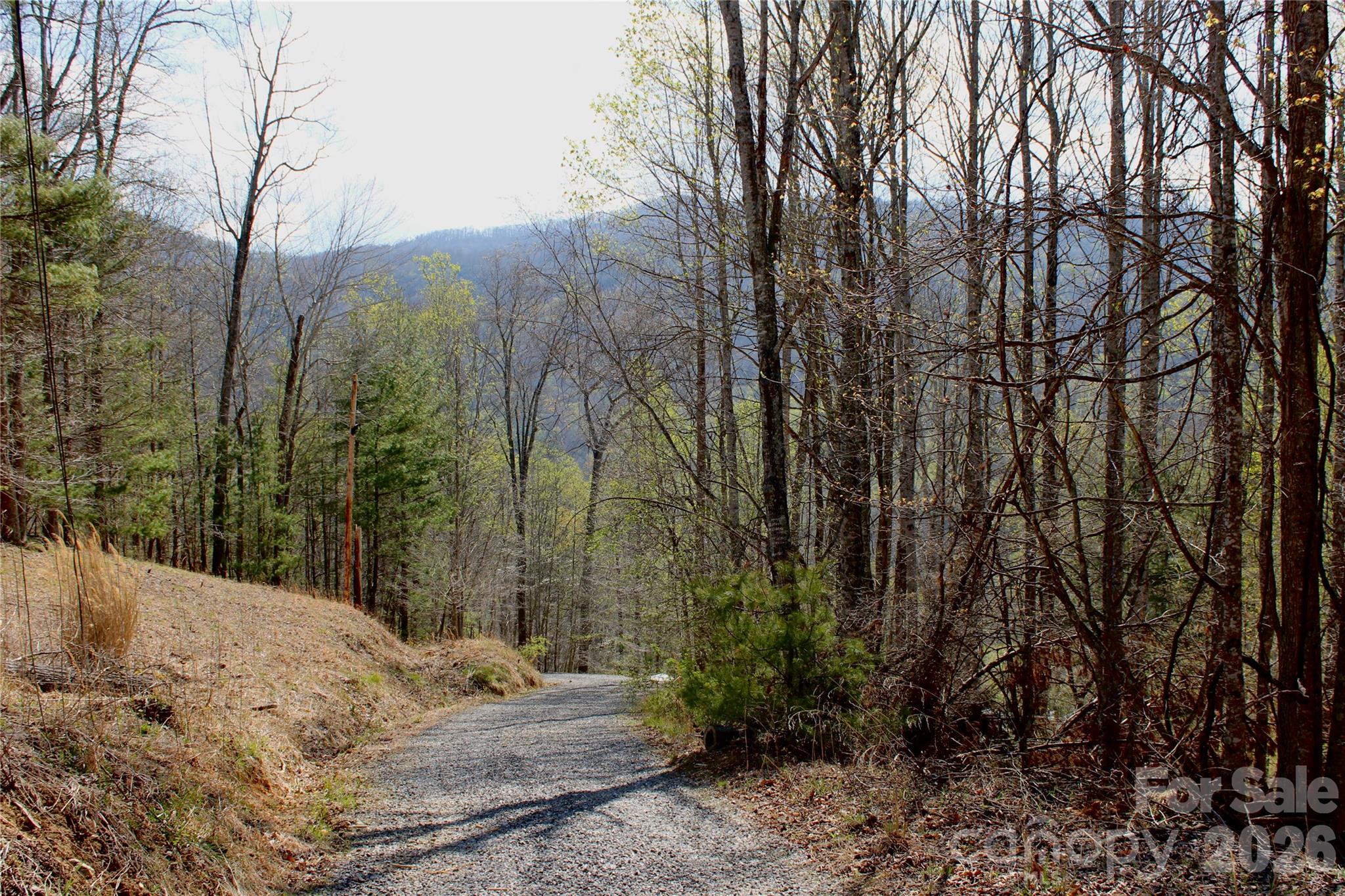 Scenic View - Land