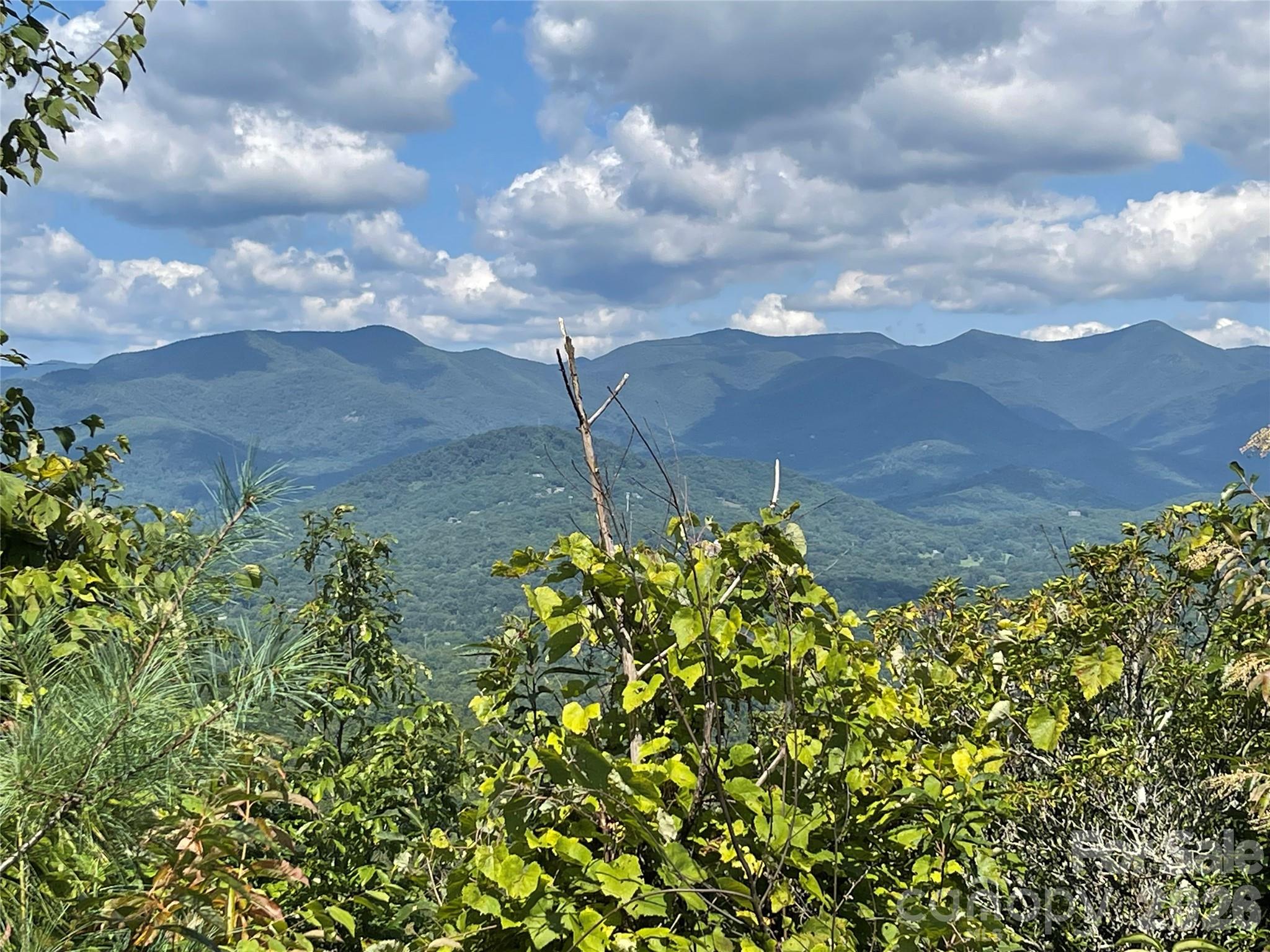 The Settings Of Black Mountain - Land