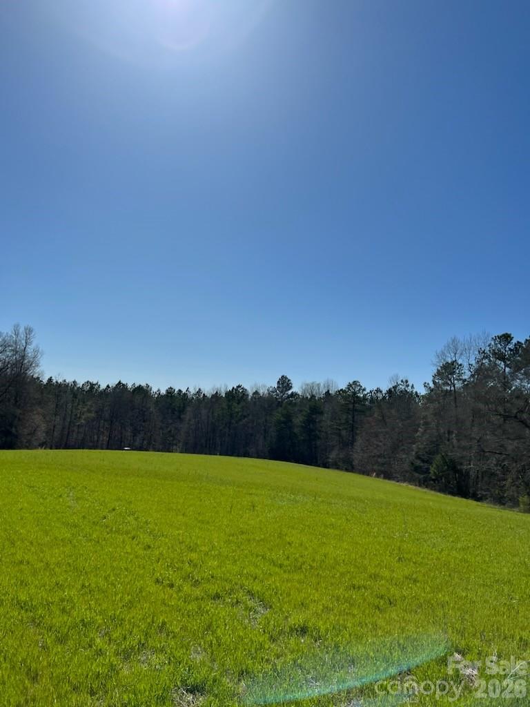Great opportunity in Cleveland County.  Plenty of lush woods, beautiful creek bed frontage and ample amount of road frontage. You will need to seek county approval for any divisions of the property. This 40 acres is within the city limits of Kingston.