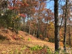 Gateway Mountain - Land