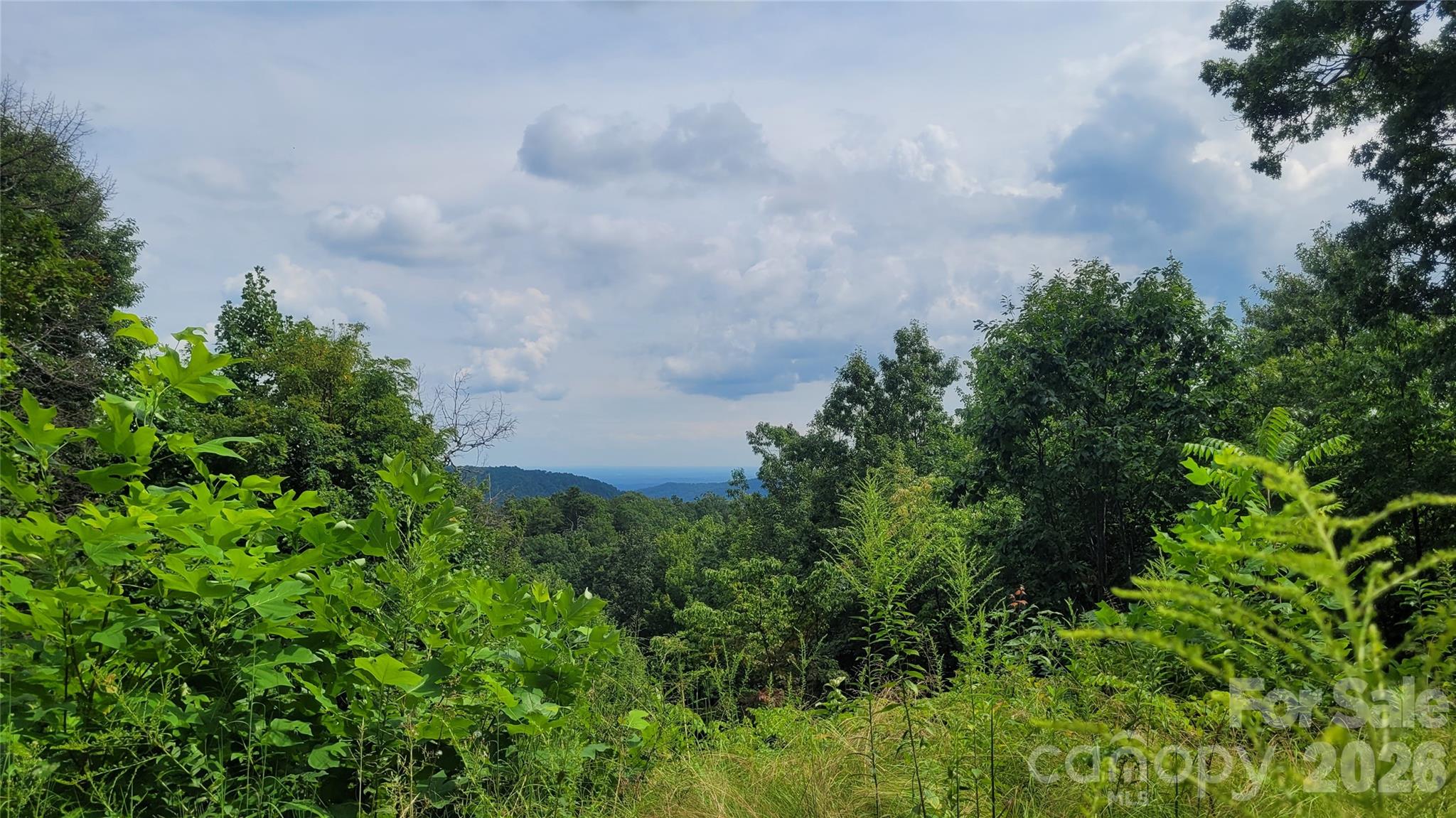 Gateway Mountain - Land