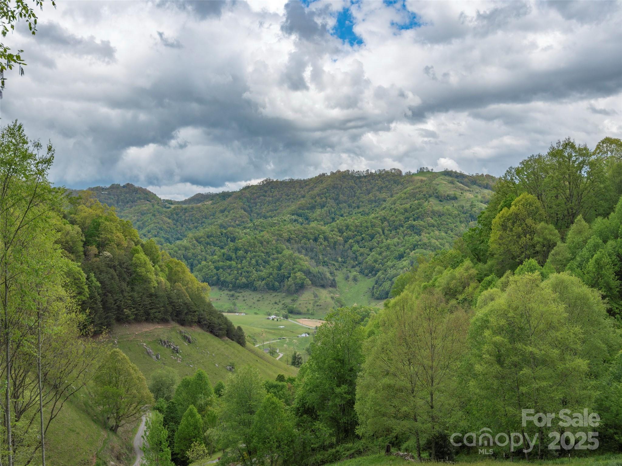 Rich Top Mountain - Land