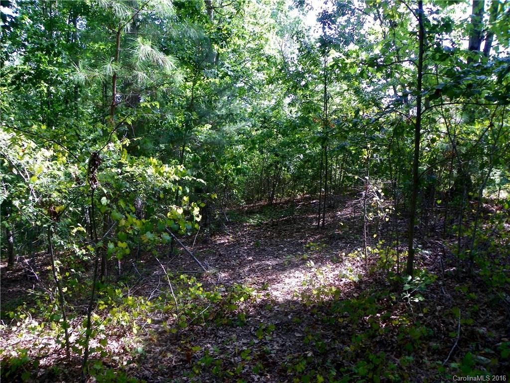 Catawba Crest - Land