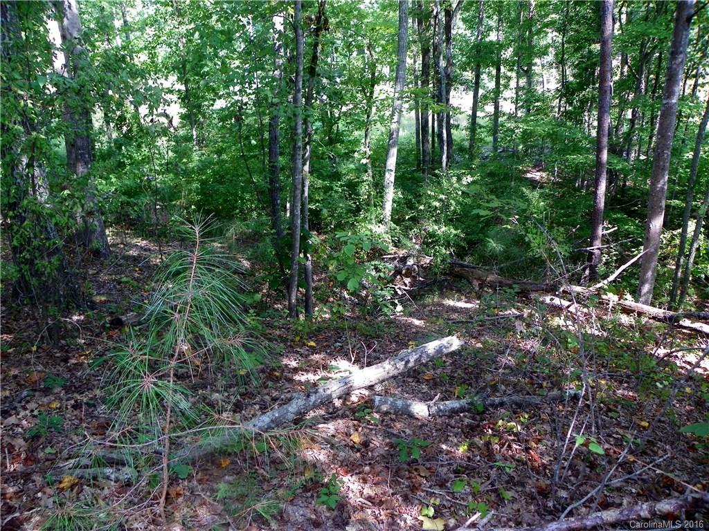 Catawba Crest - Land