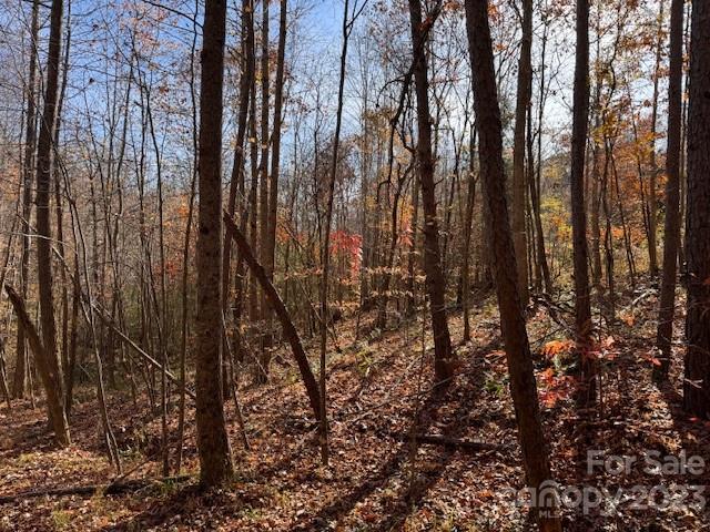 Mountain Brook - Land