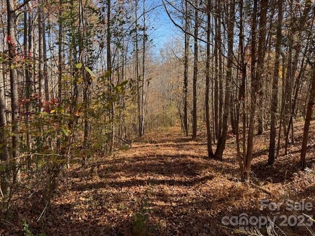Mountain Brook - Land