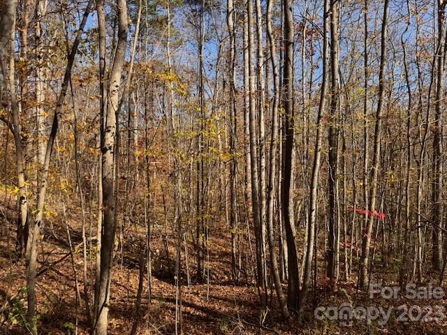 Discover this stunning parcel of undeveloped land nestled on a quiet cul-de-sac, boasting two meandering streams and a serene wooded area for ultimate privacy. Spanning three acres, this expansive lot is situated adjacent to the North Carolina border, strategically positioned between King's Mountain State Park and Crowder's Mountain State Park. An idyllic haven for outdoor enthusiasts, history aficionados, and those in pursuit of serene country living. This property offers a unique opportunity for a harmonious blend of natural beauty and peaceful lifestyle.