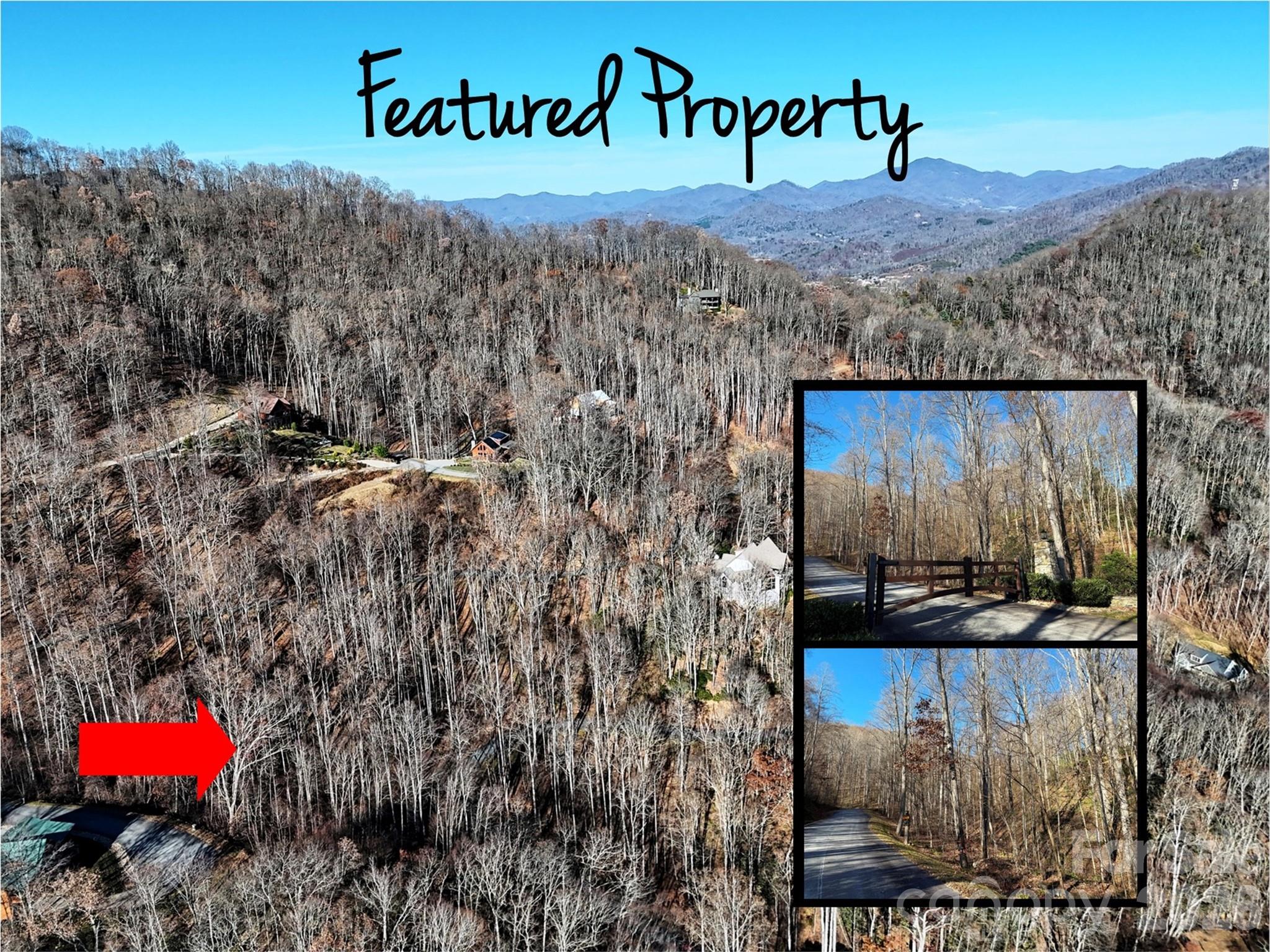 Mountain Watch - Land