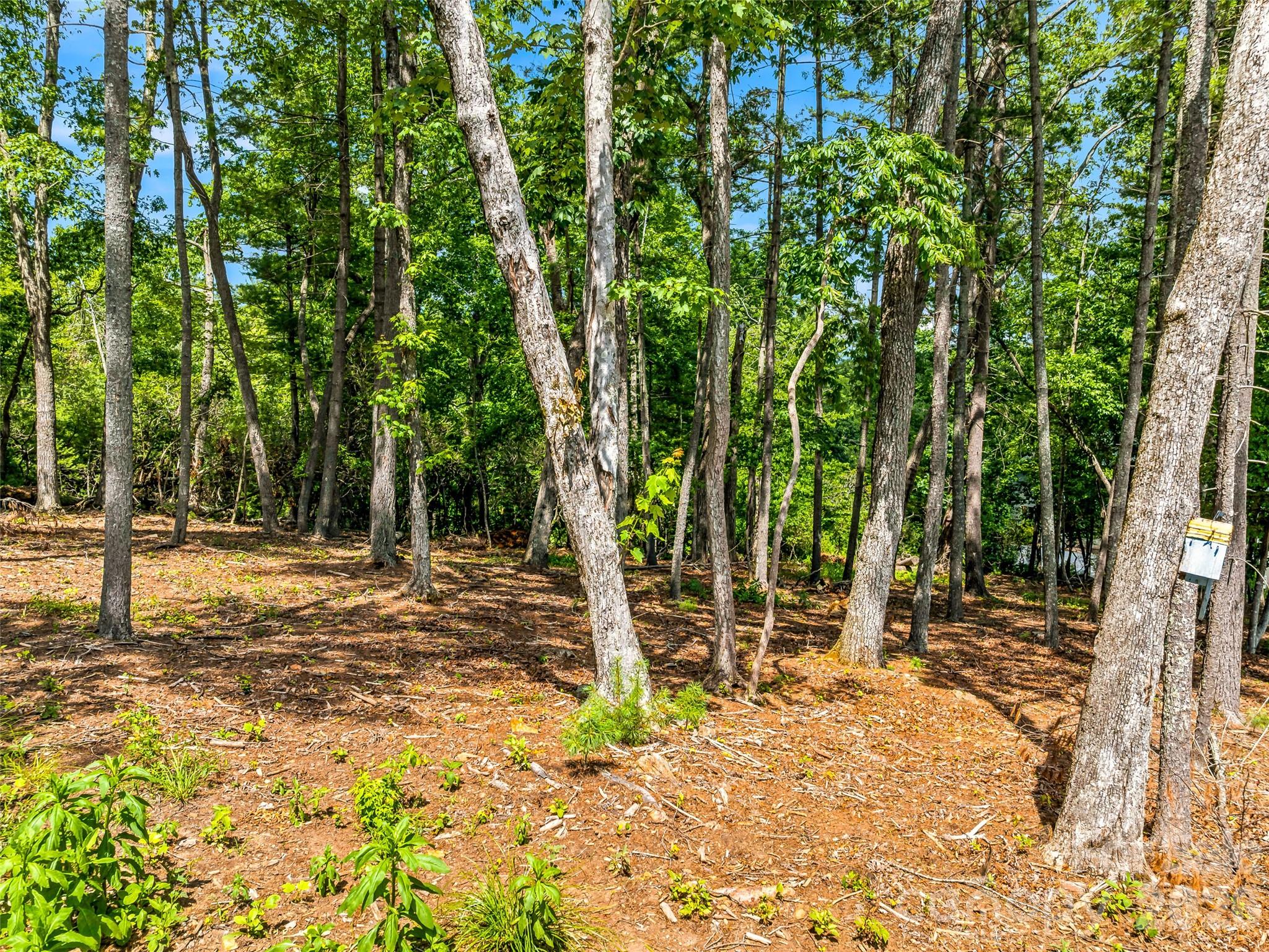 The Cliffs at Walnut Cove - Residential