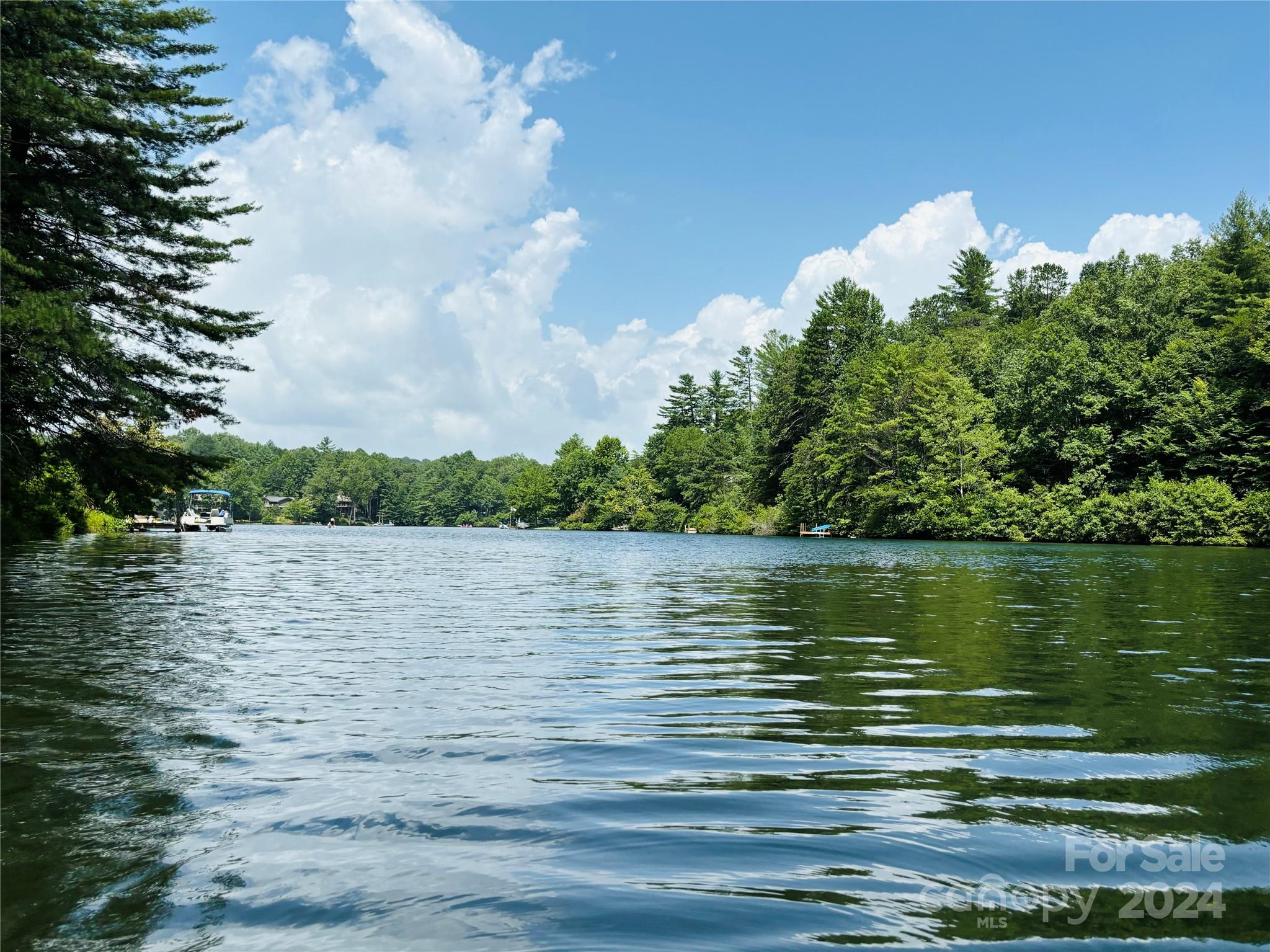 Connestee Falls - Land
