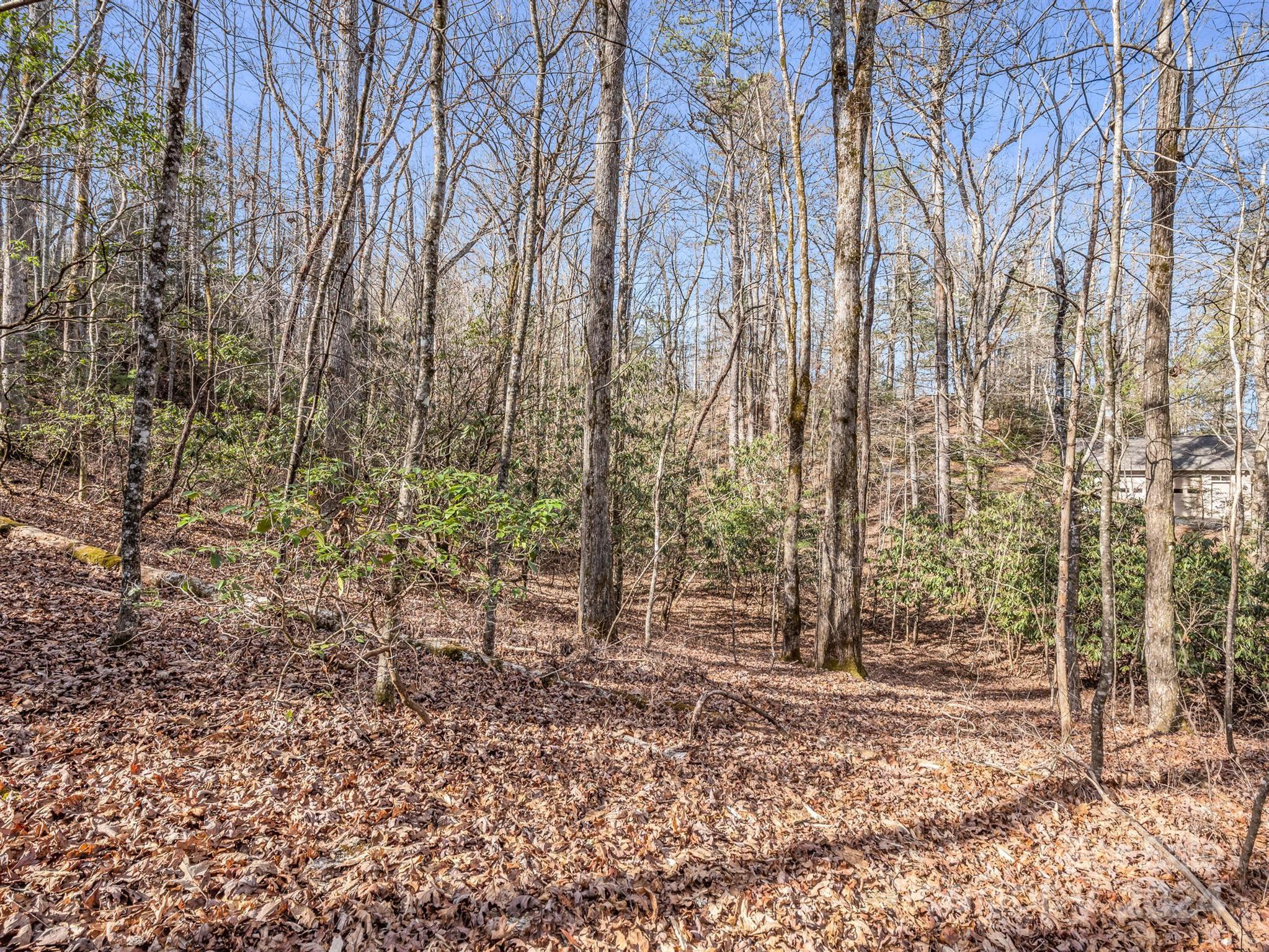 Connestee Falls - Land