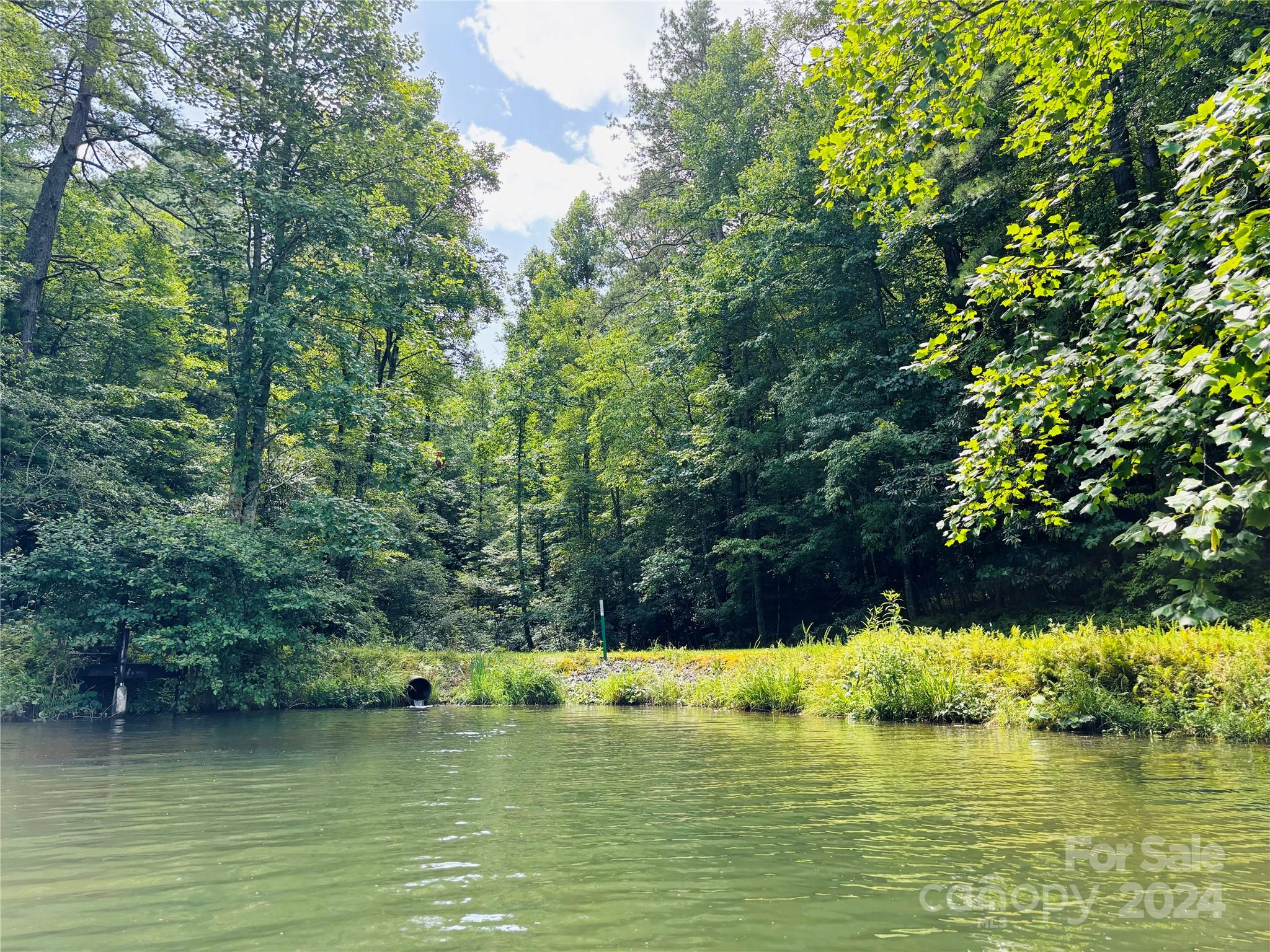 Connestee Falls - Land