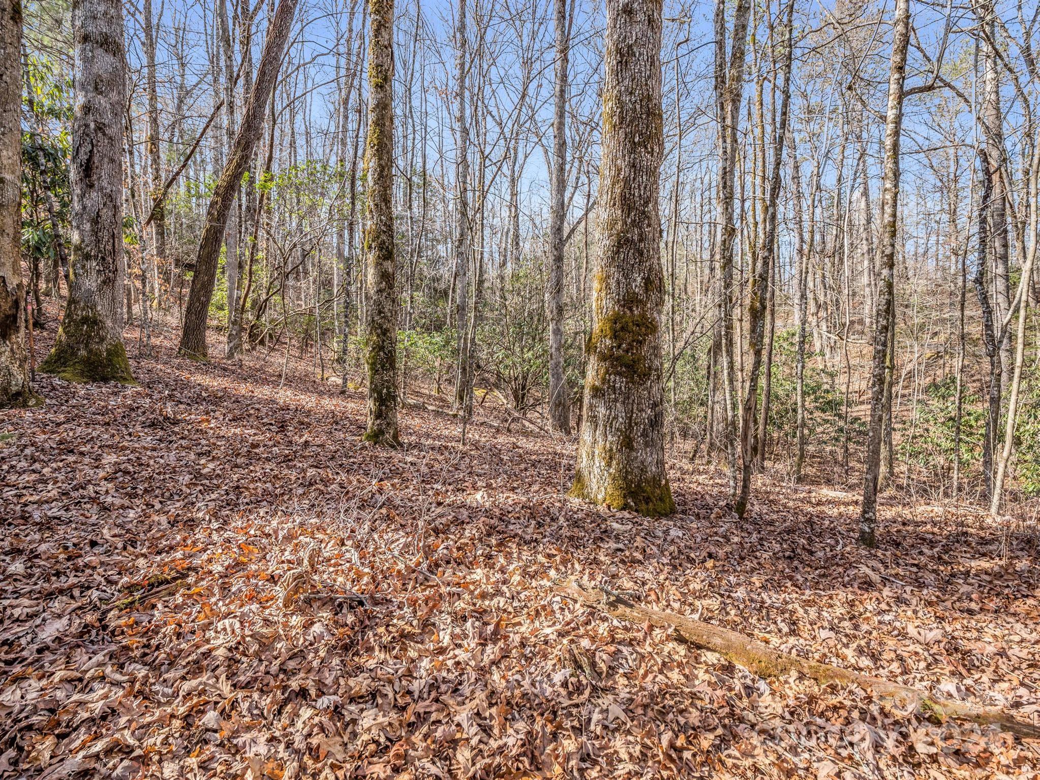 Connestee Falls - Land