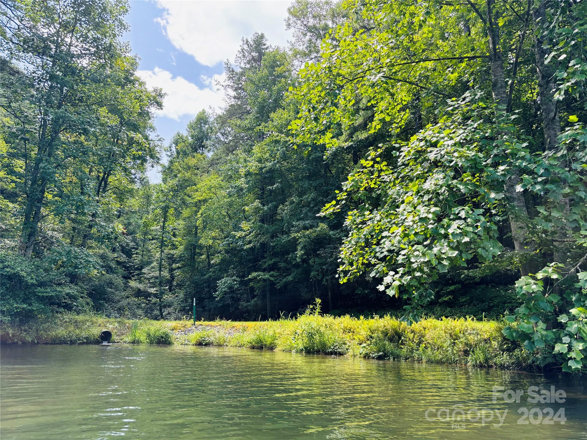 Connestee Falls - Land